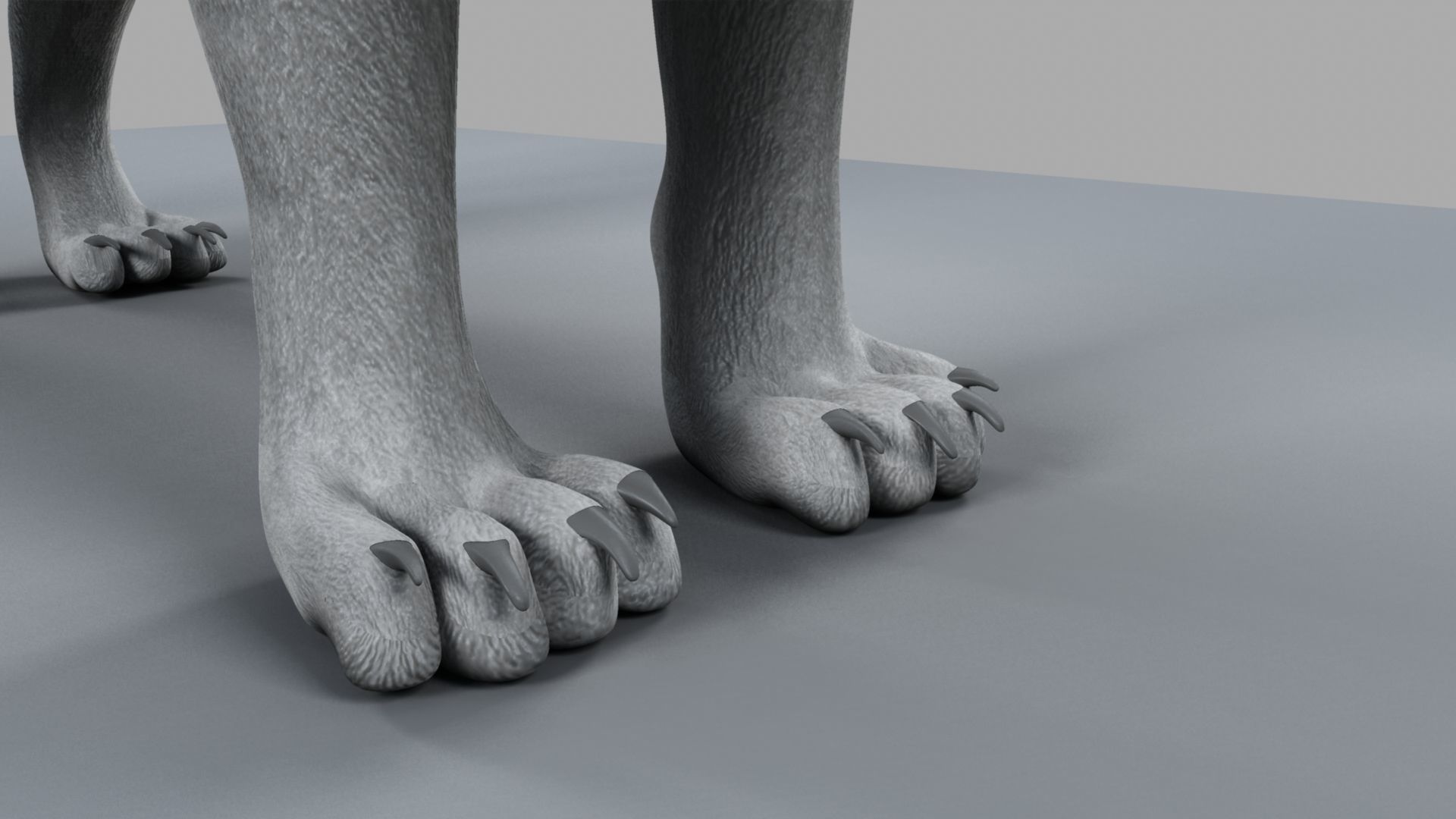 White Lion 3D model_7