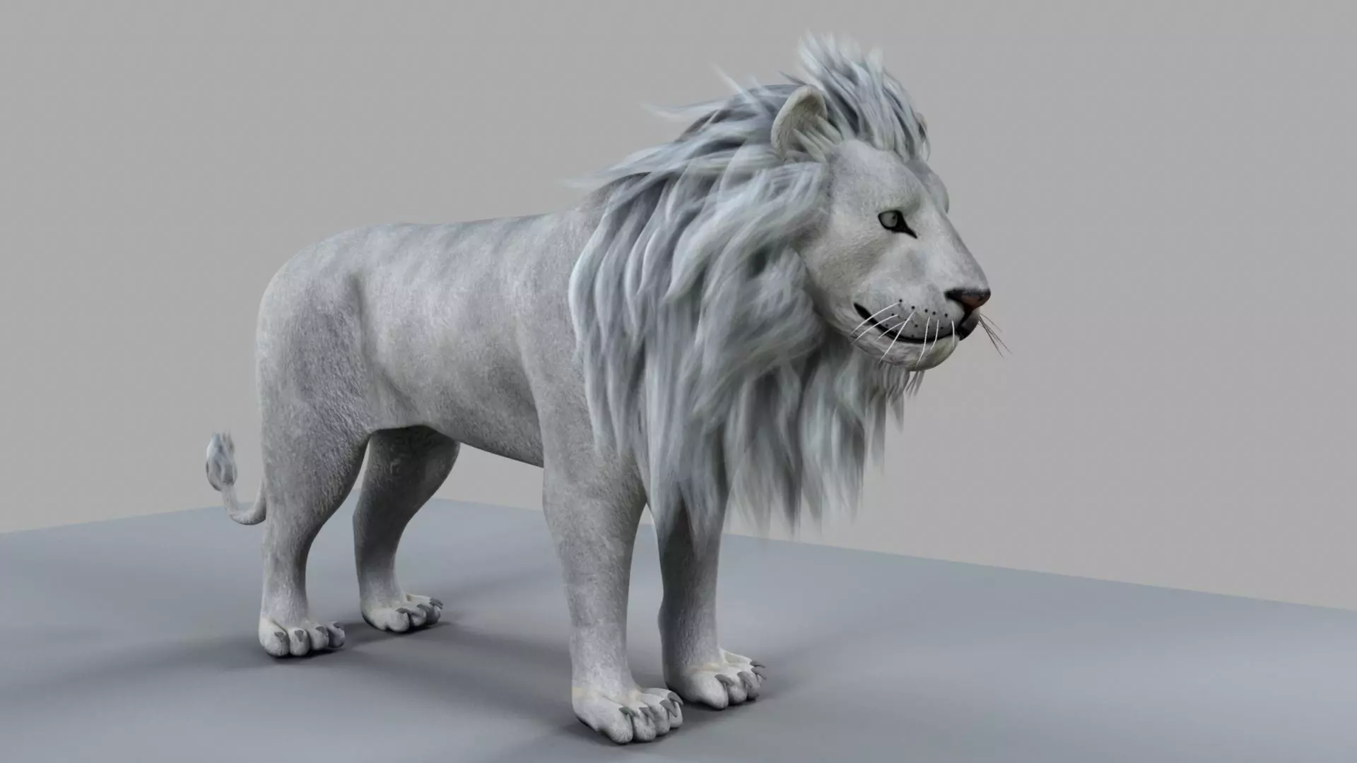 White Lion 3D model_0