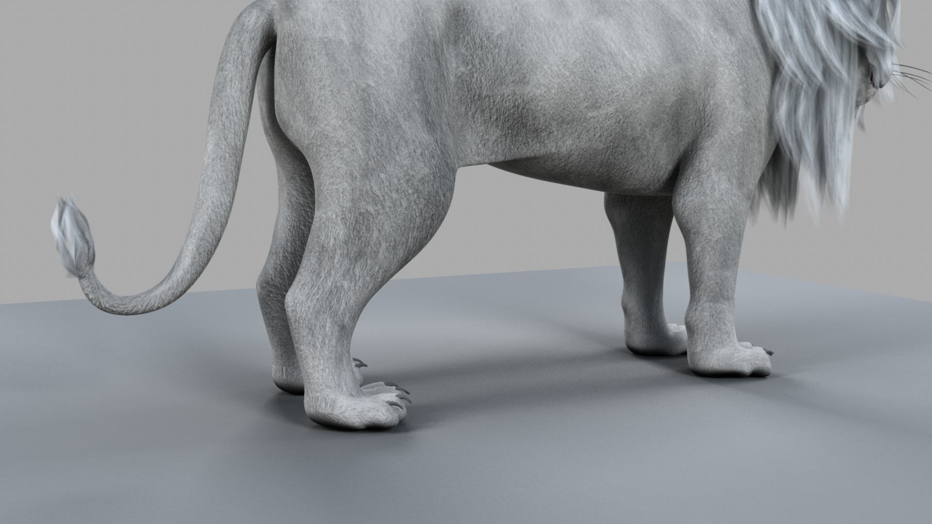 White Lion 3D model_29