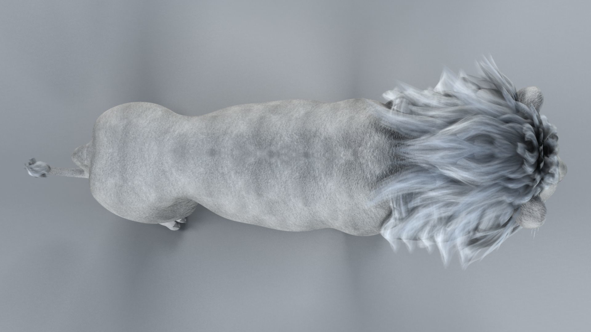 White Lion 3D model_25