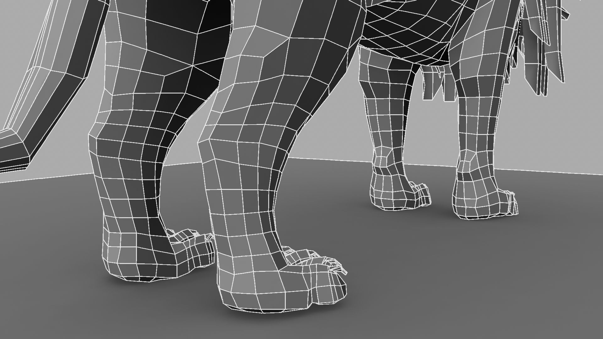 White Lion 3D model_16