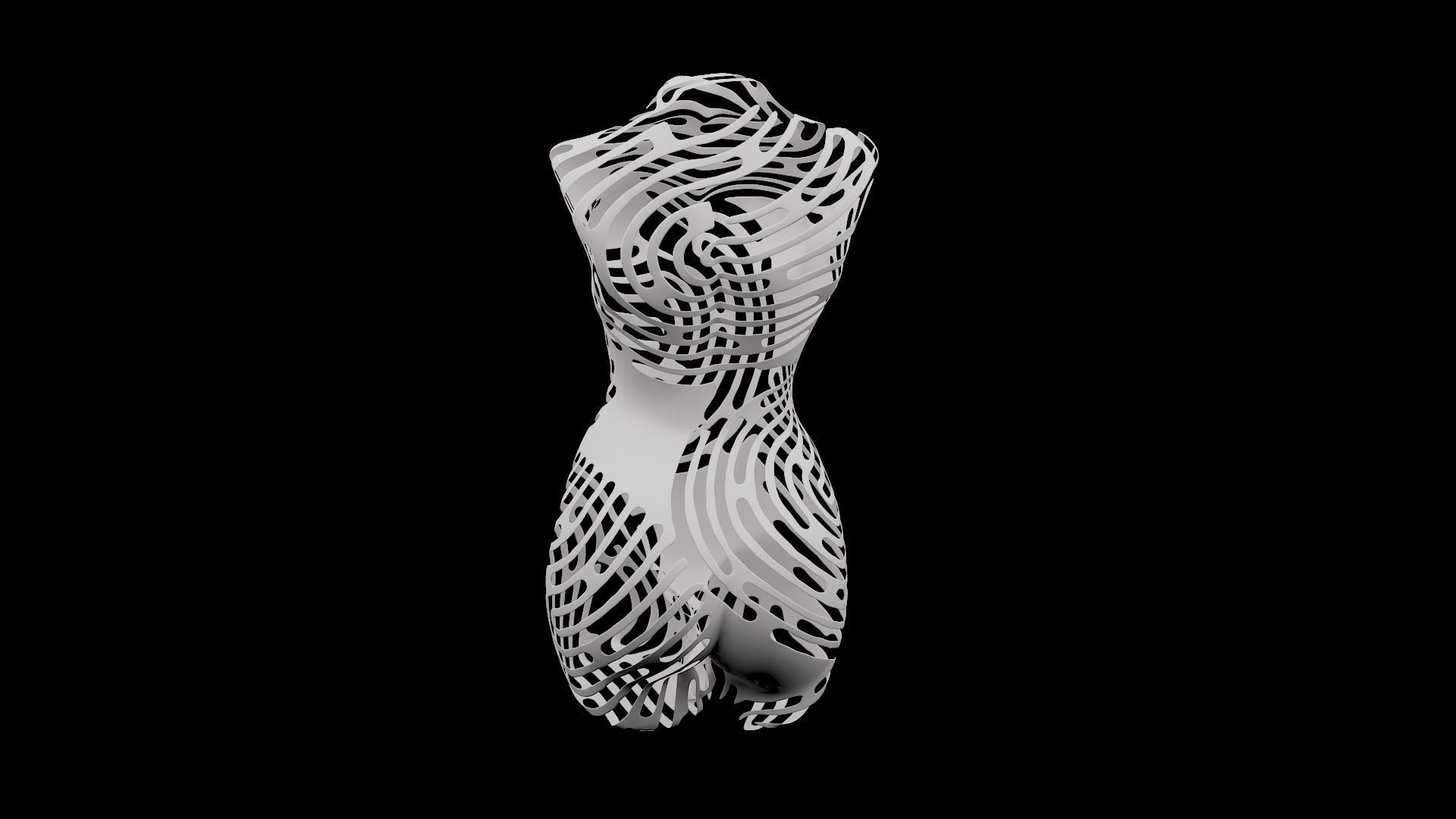 Female Torso 3D model_3