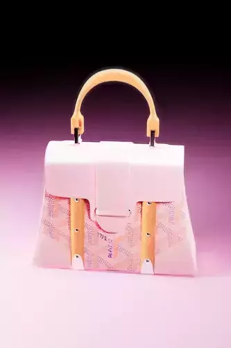 Realistic 3D Model of Goyard Saigon Bag