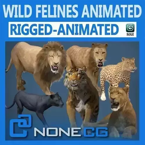 Pack - Wild Felines Animated