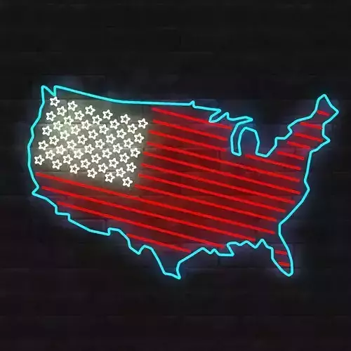 3D NEON USA FLAG AND MAP