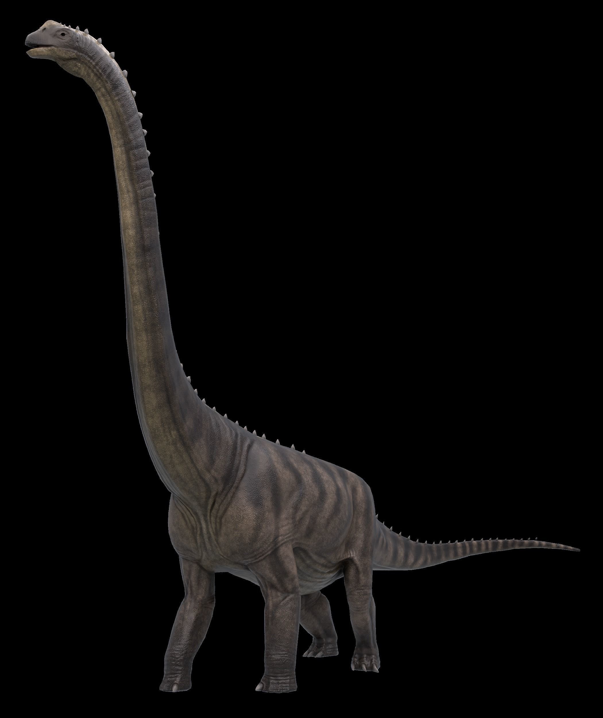 Argentinosaurus Asset Pack Low-poly 3D model_8