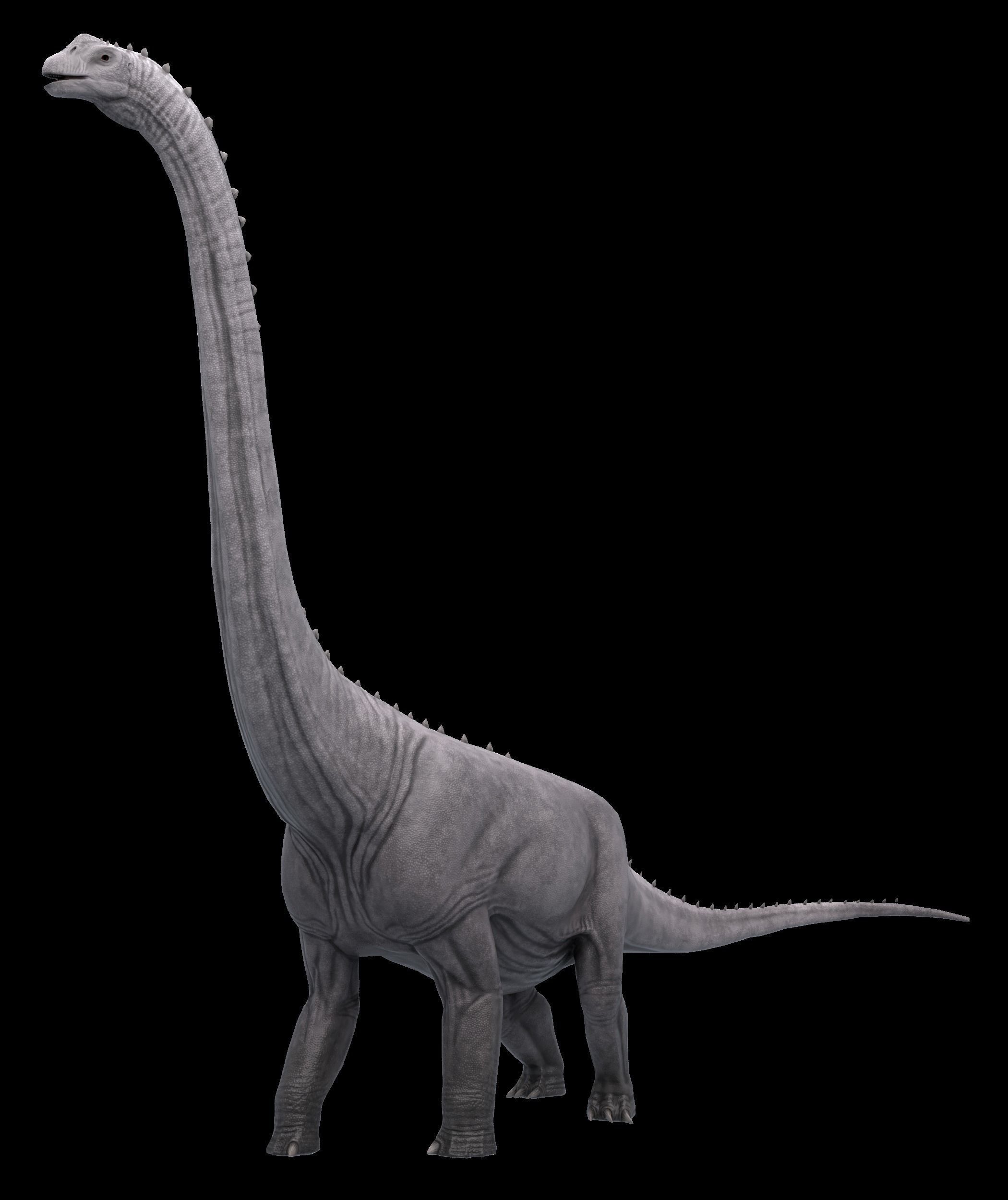 Argentinosaurus Asset Pack Low-poly 3D model_4