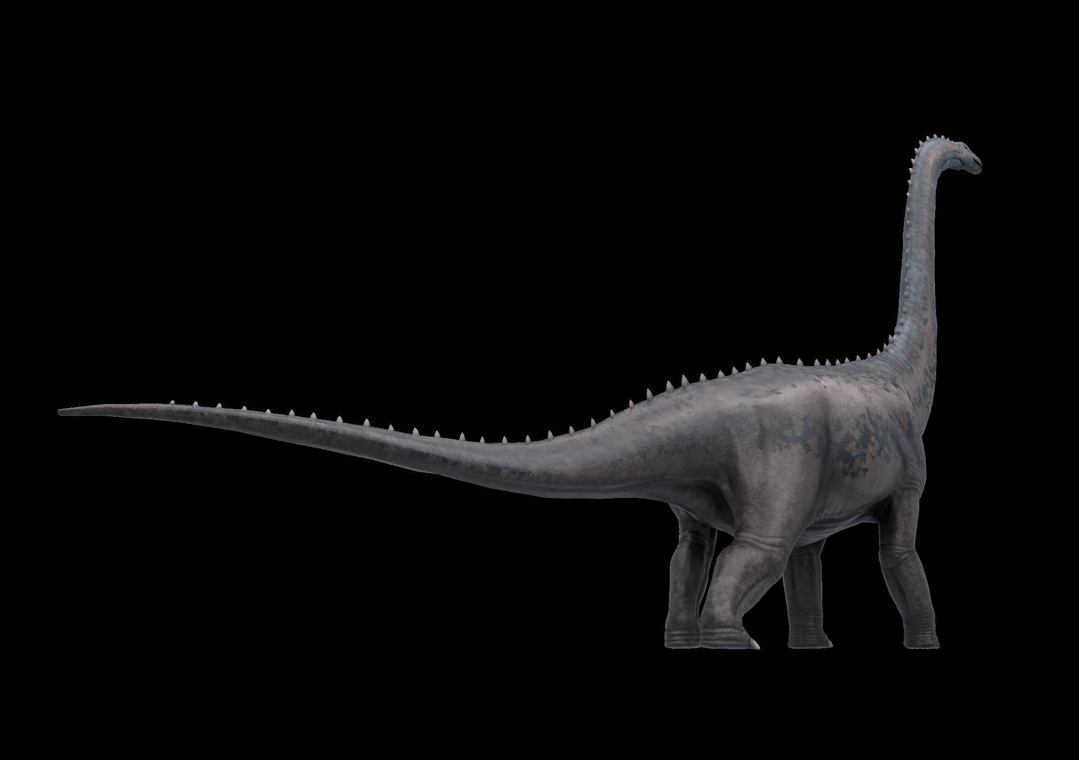 Argentinosaurus Asset Pack Low-poly 3D model_3