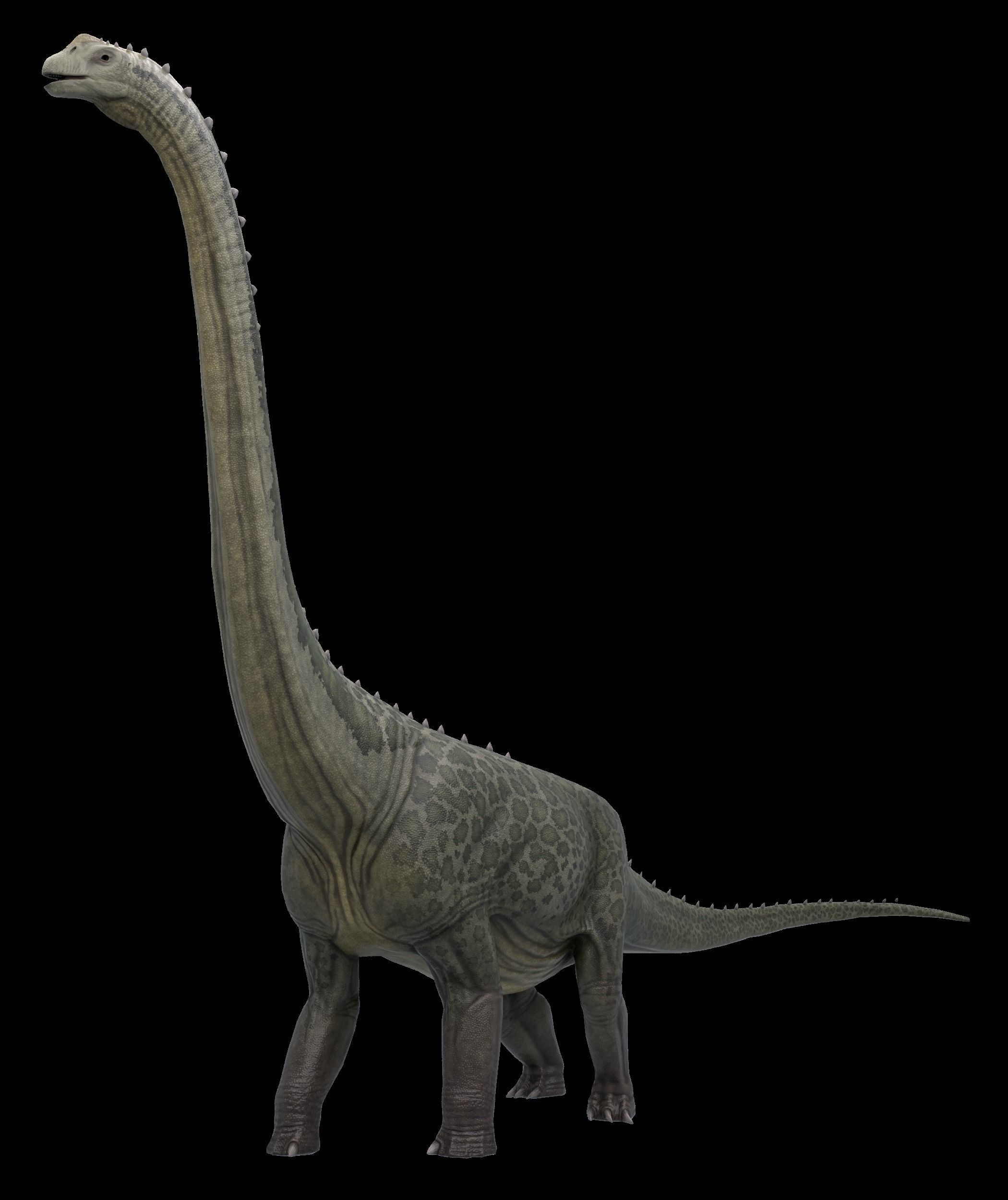 Argentinosaurus Asset Pack Low-poly 3D model_6