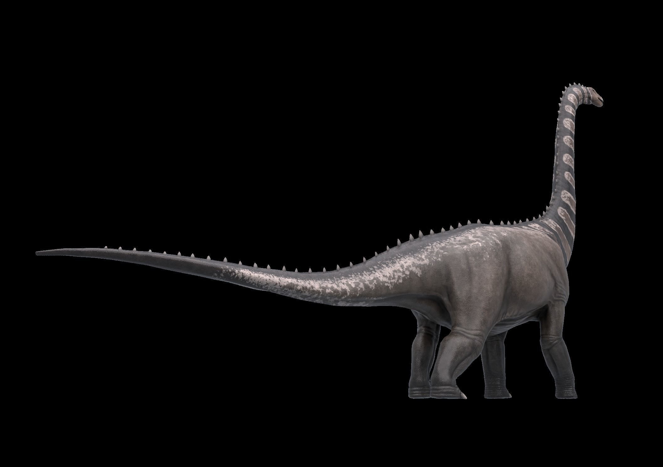 Argentinosaurus Asset Pack Low-poly 3D model_1