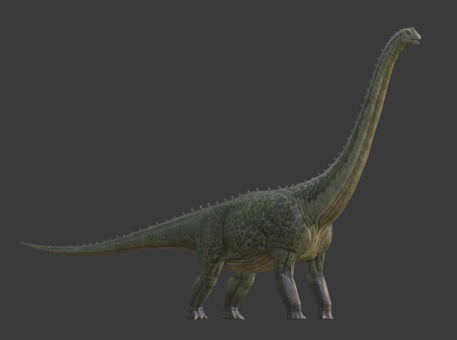 Argentinosaurus Asset Pack Low-poly 3D model_12
