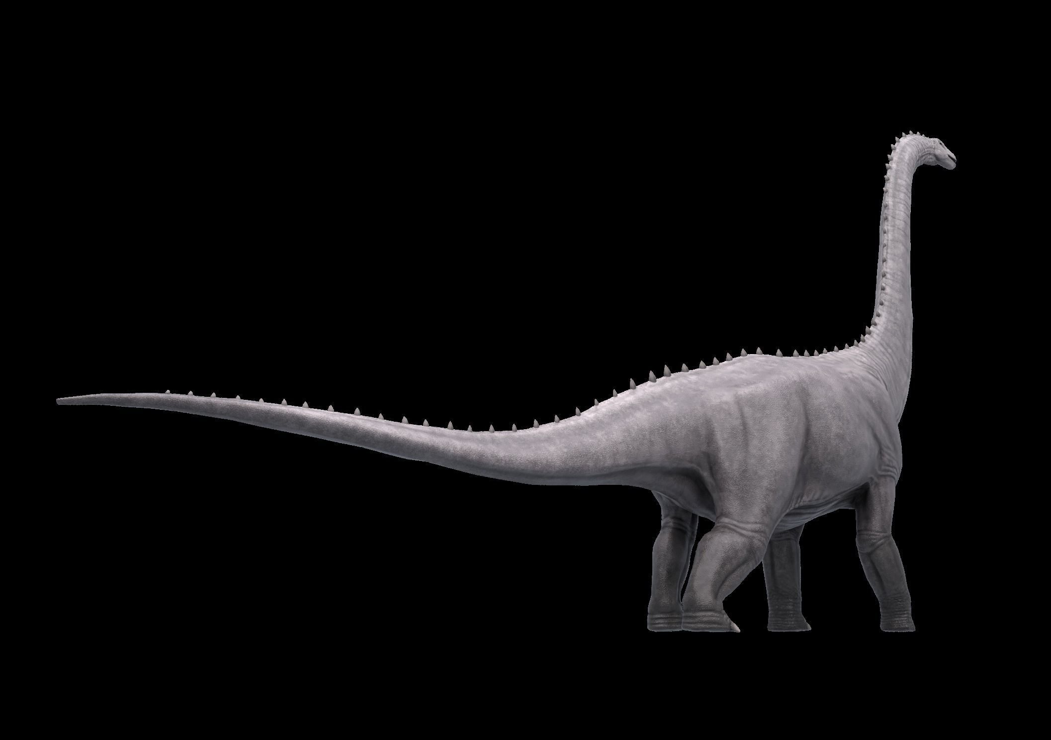 Argentinosaurus Asset Pack Low-poly 3D model_5