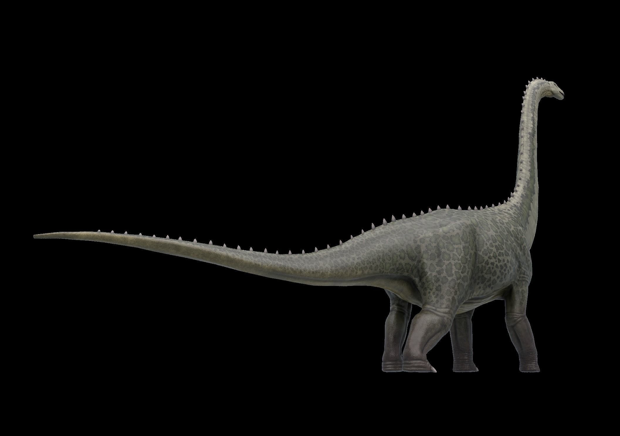 Argentinosaurus Asset Pack Low-poly 3D model_7