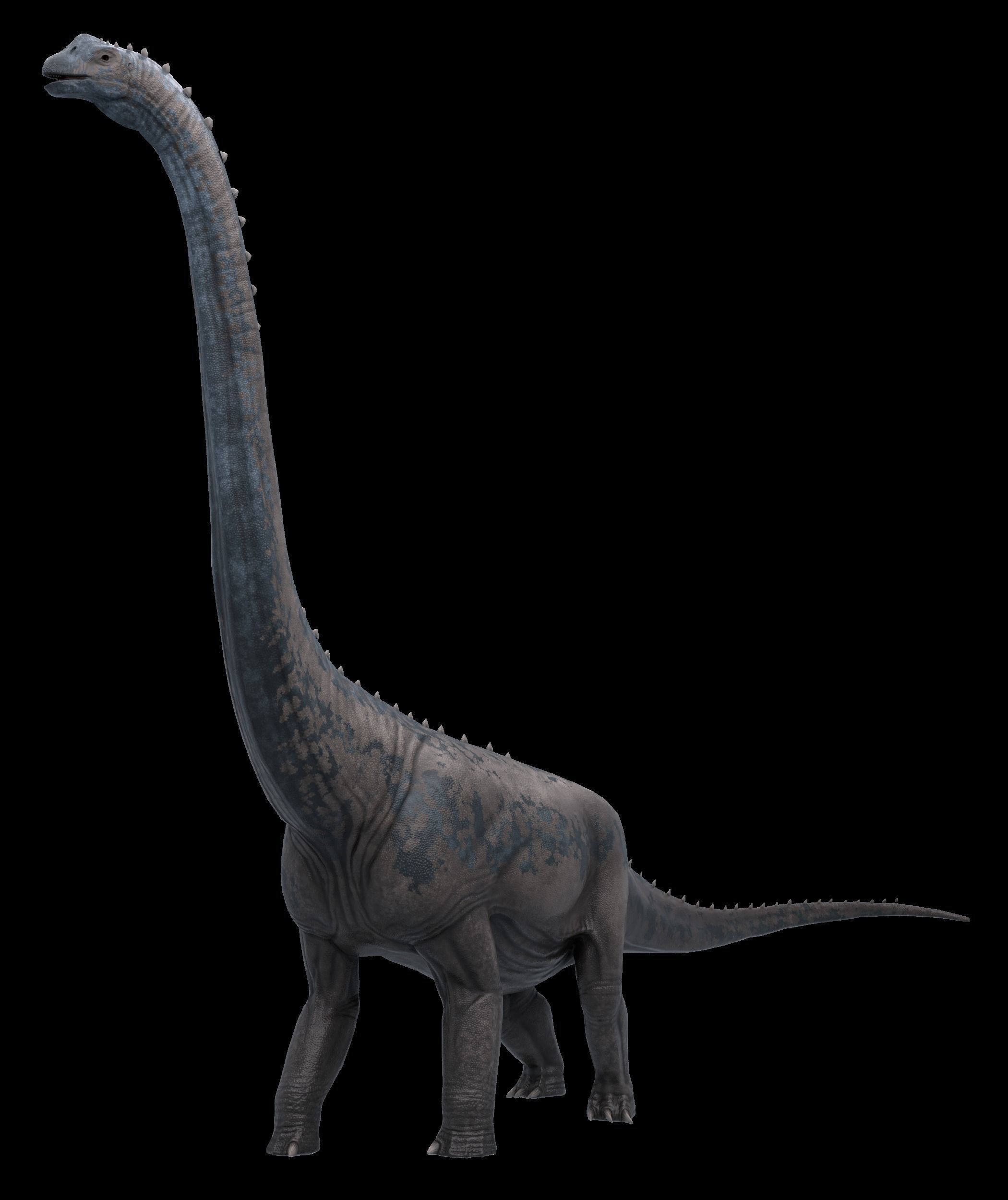 Argentinosaurus Asset Pack Low-poly 3D model_2