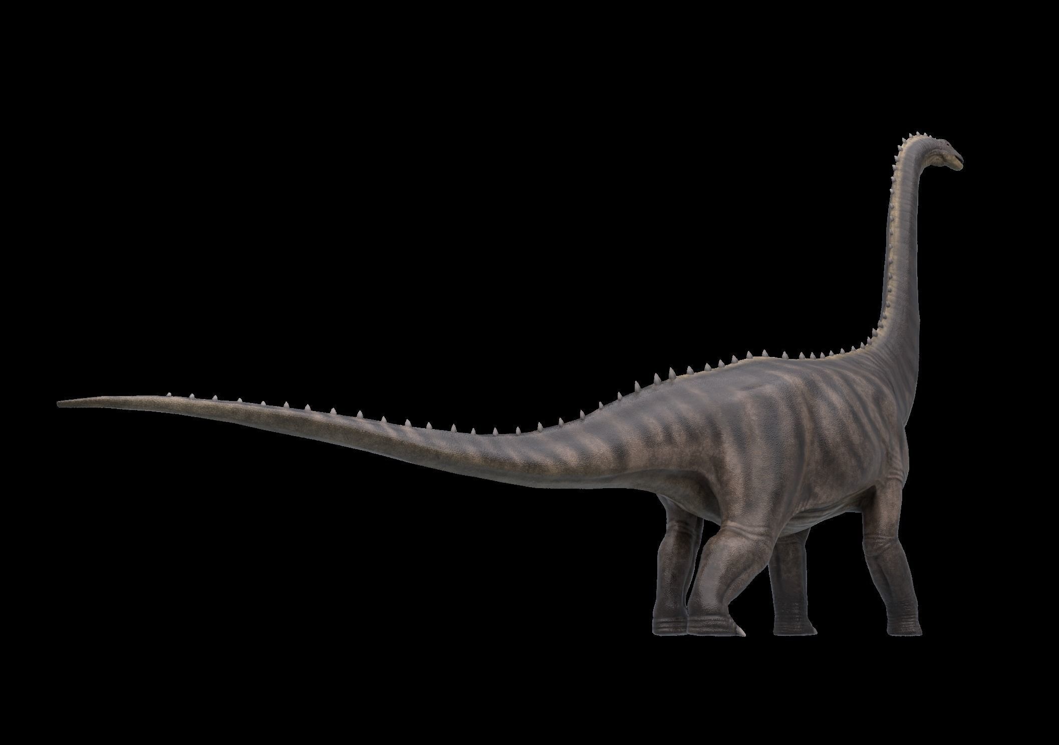 Argentinosaurus Asset Pack Low-poly 3D model_9