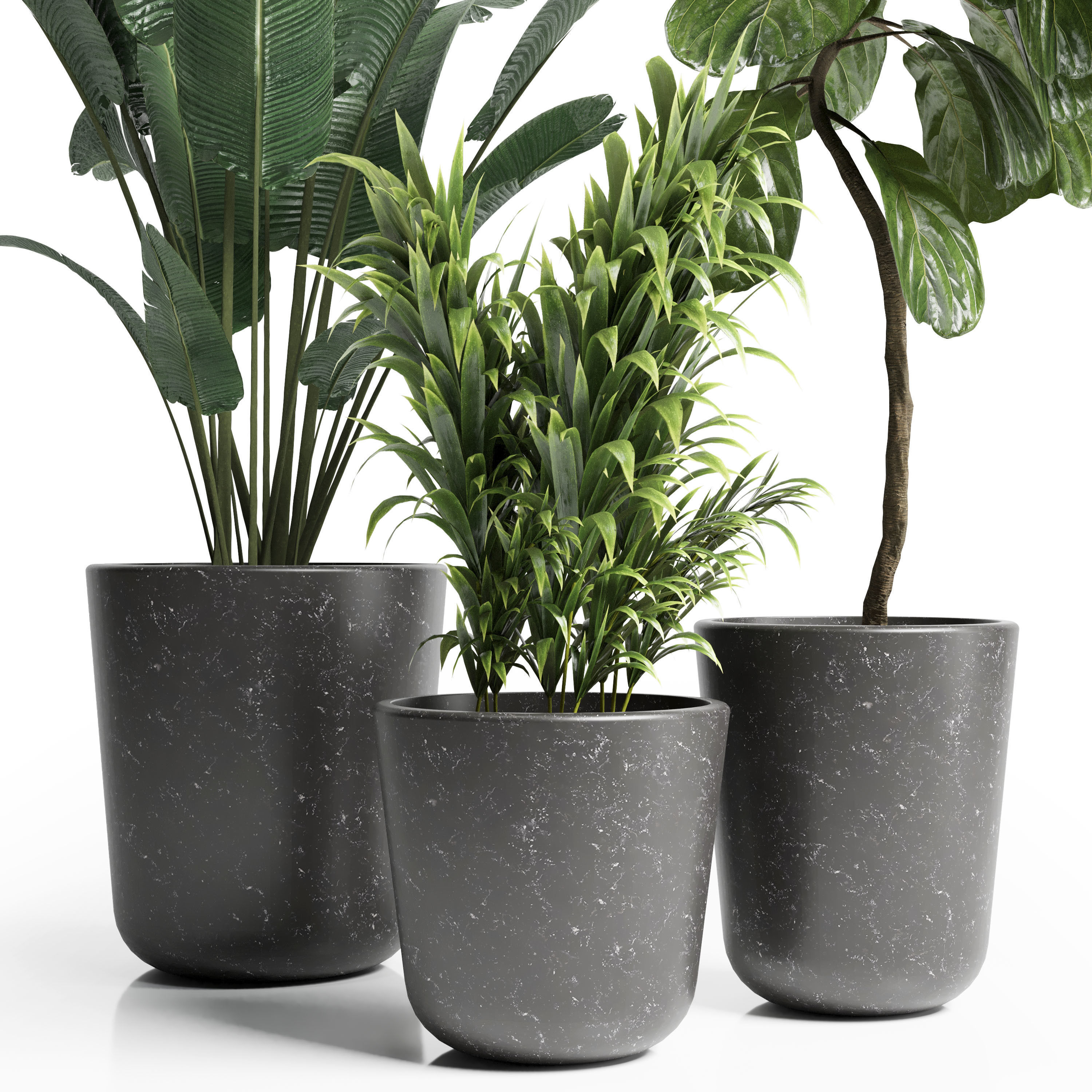 Indoor plant 21 Low-poly 3D model_1