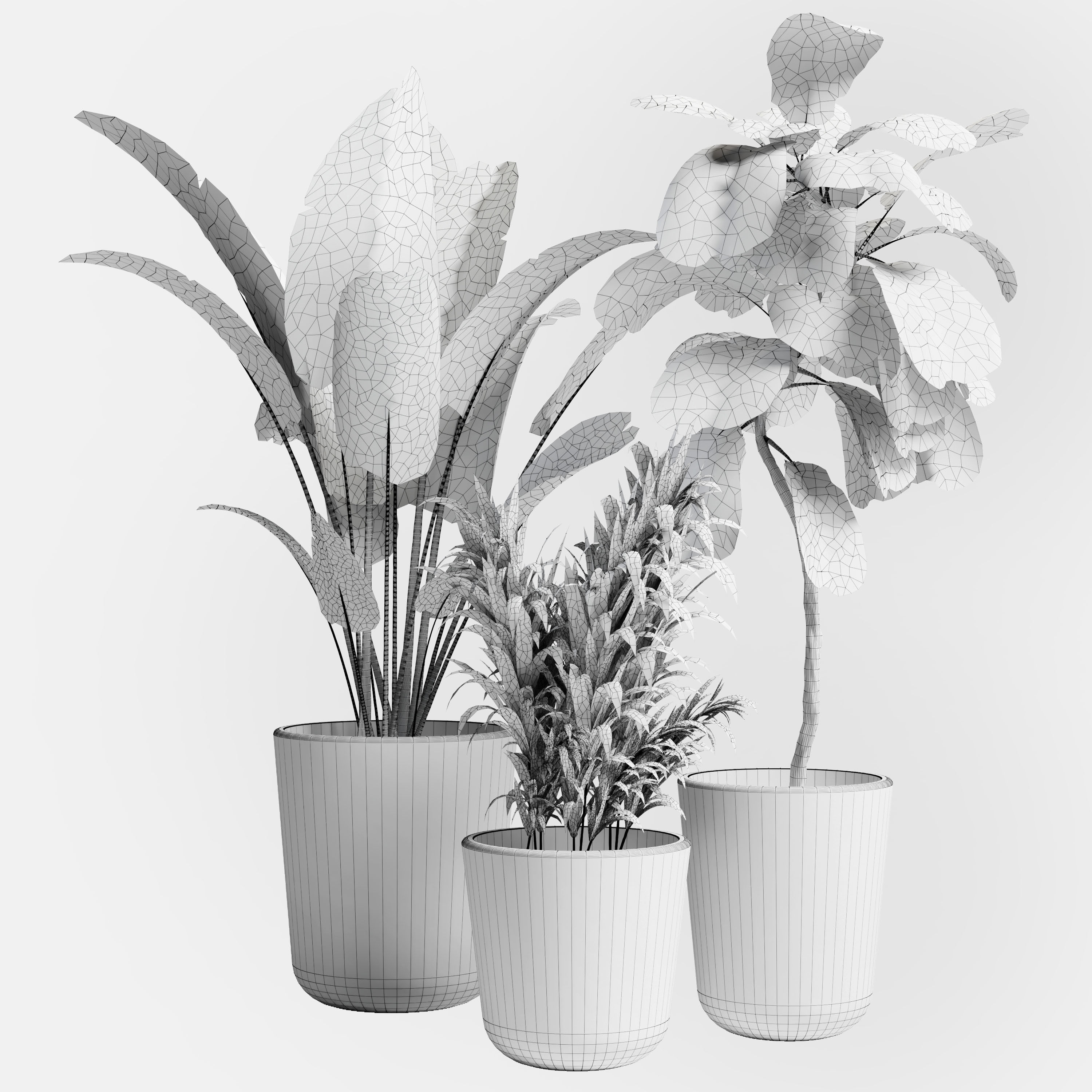 Indoor plant 21 Low-poly 3D model_3