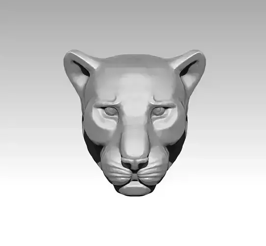 Tiger head