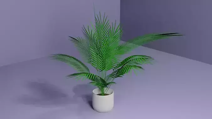 Indoor Palm Tree