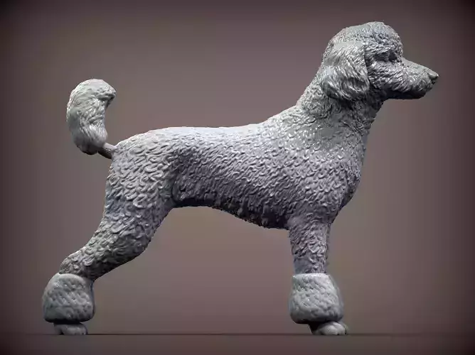 Poodle 3D print model