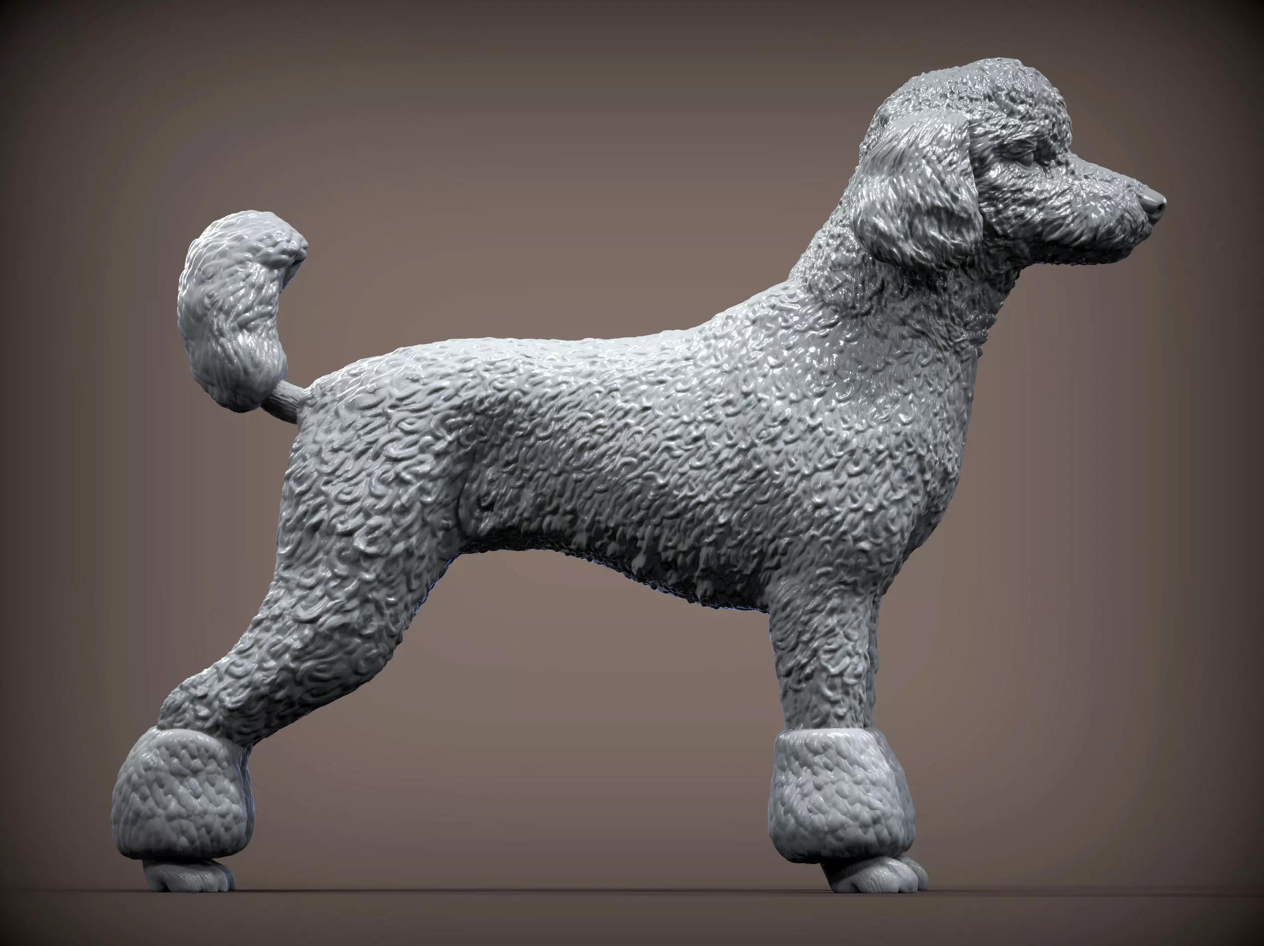 Poodle 3D print model