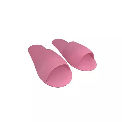 Disposable Slippers v1 005
