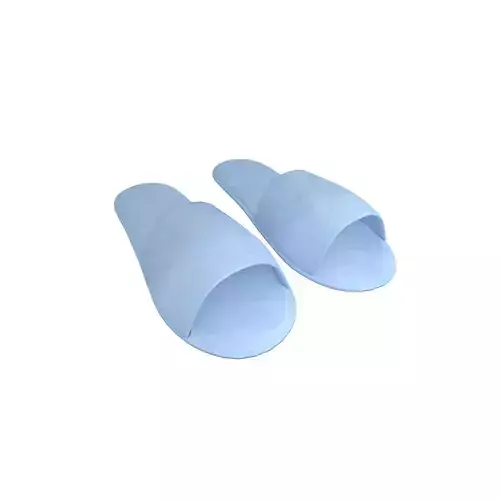 Disposable Slippers v1 006