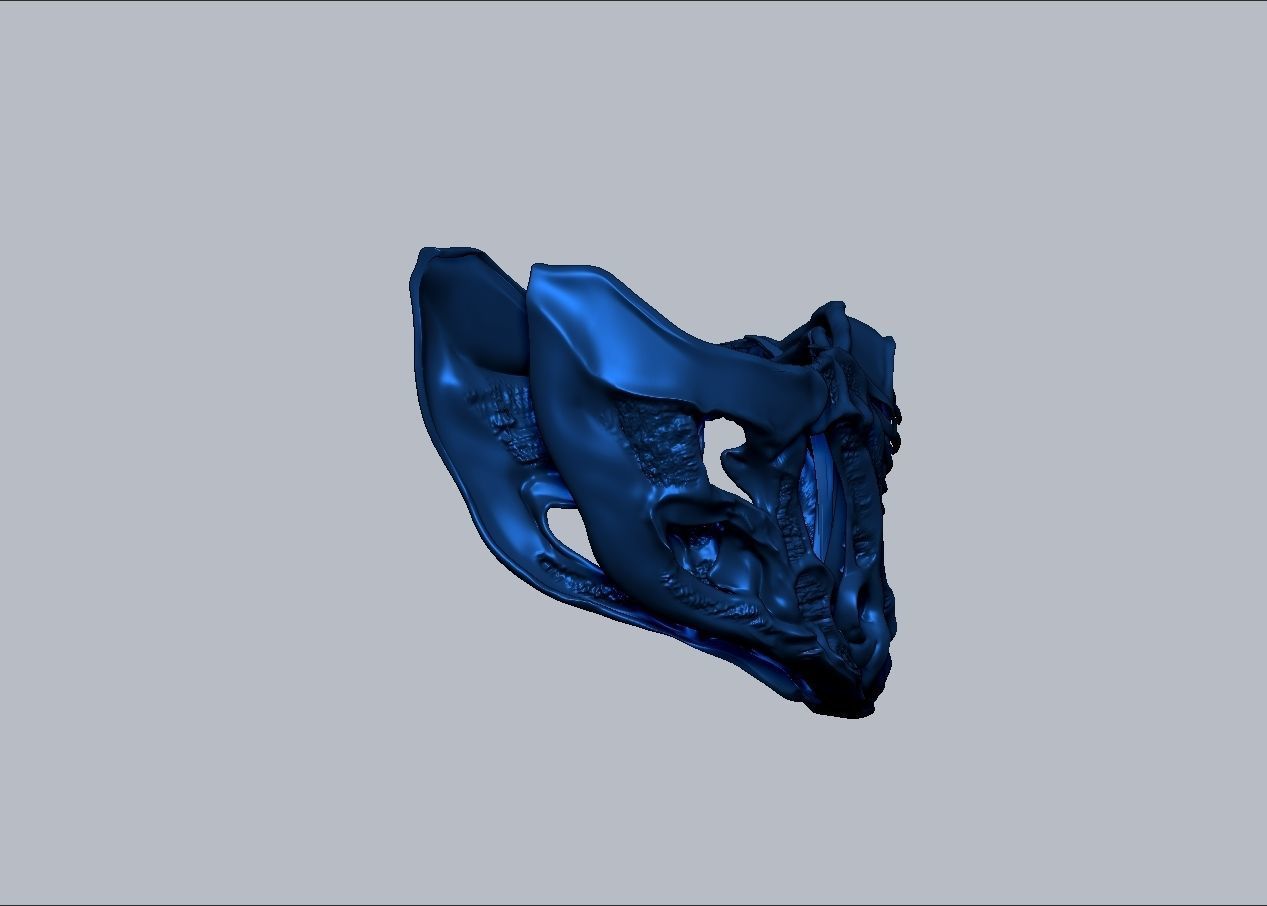 Mortal Kombat Movie 2021 Subzero mask 3D print model_15