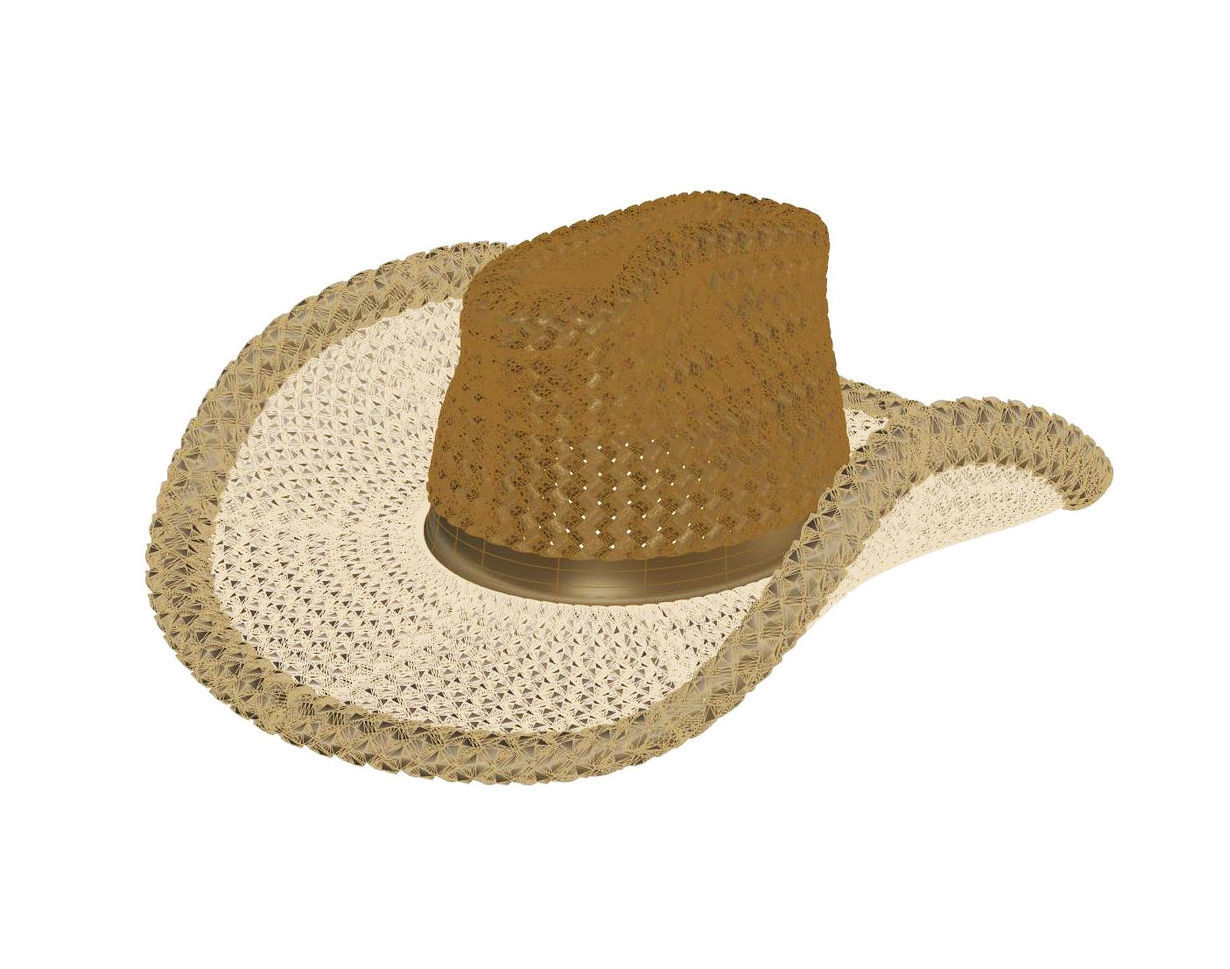  Cowboy Hat Brooch  3D print model_4