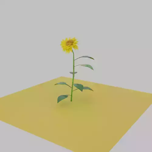 Flower on square