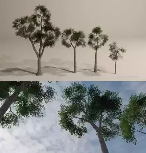 Trees-3D Lowpoly Model trees - trees