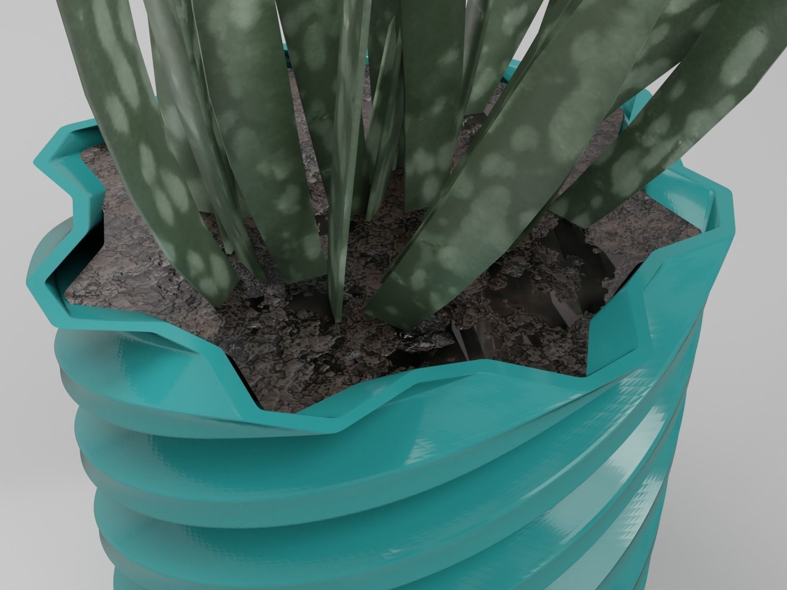 Twist pot flower plant 2 3D print model_4