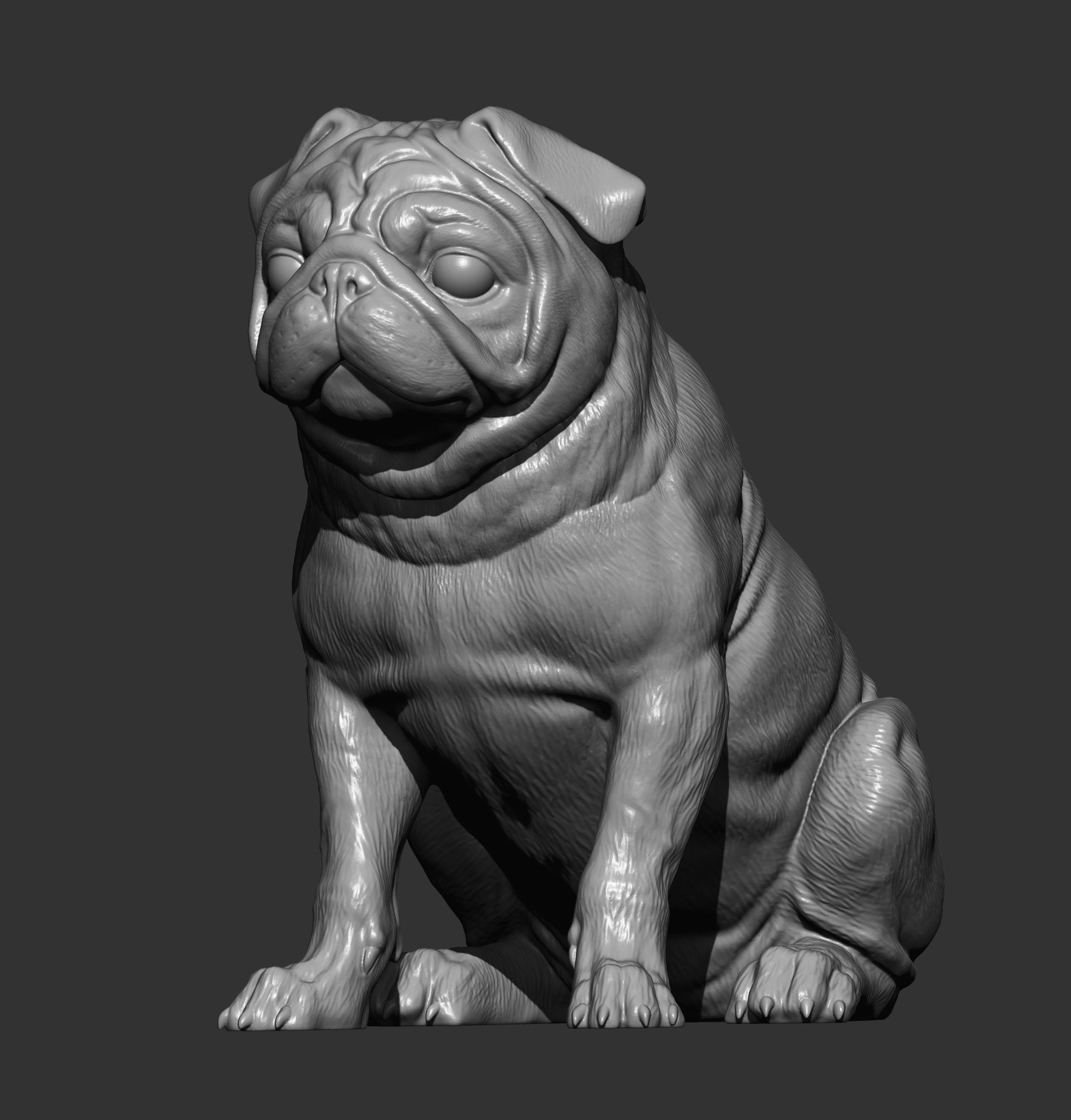 Pug for 3D printing 3D print model_5