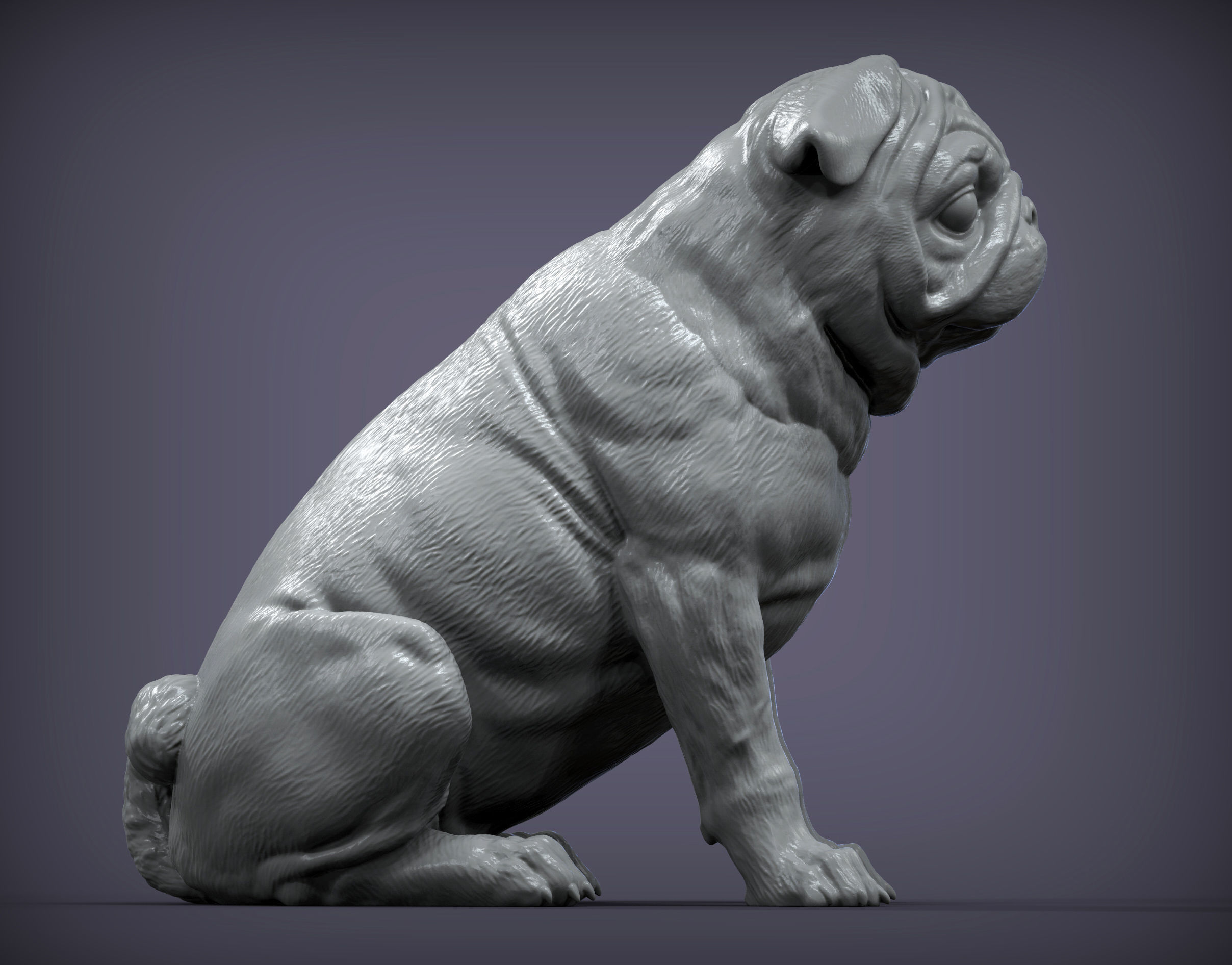 Pug for 3D printing 3D print model_2