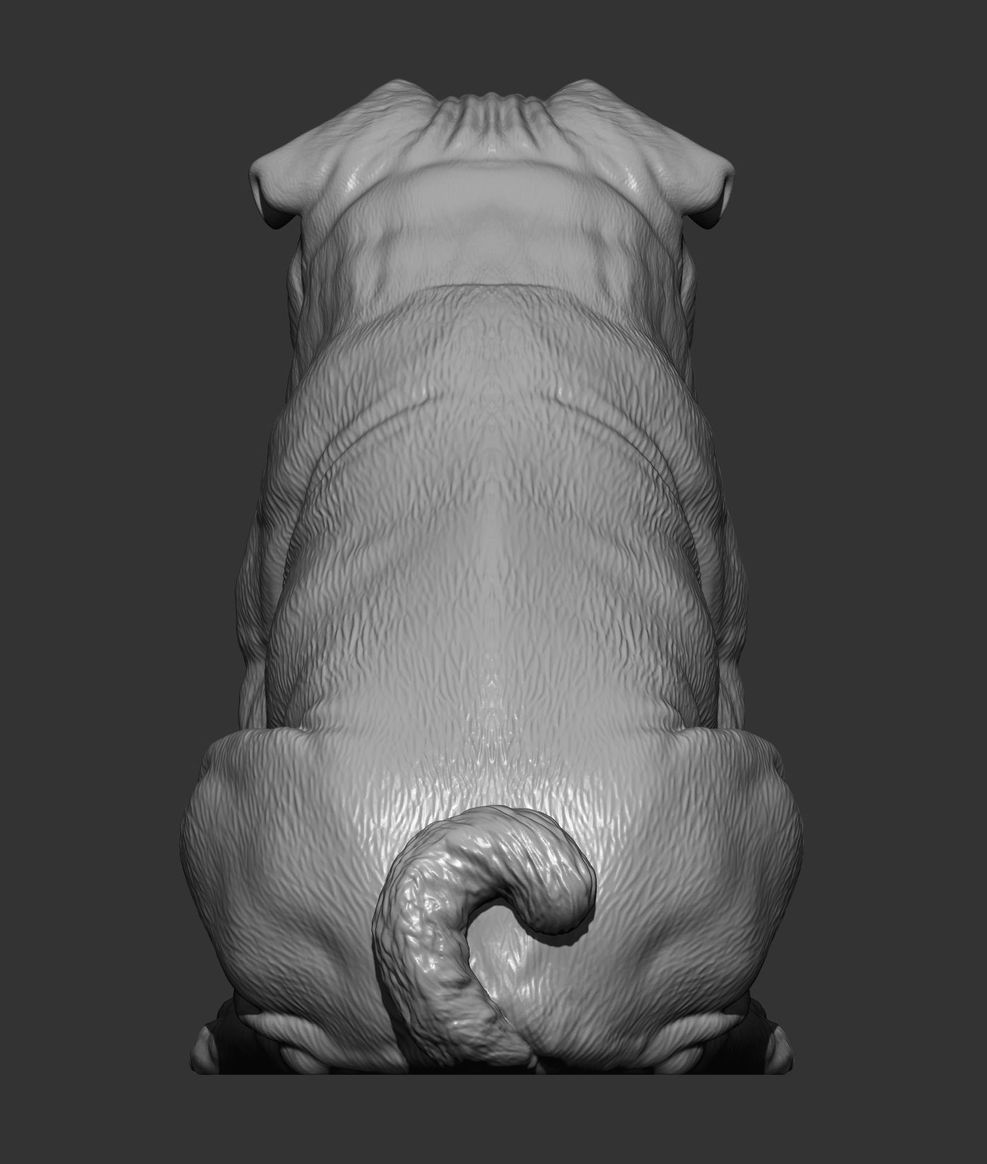 Pug for 3D printing 3D print model_6