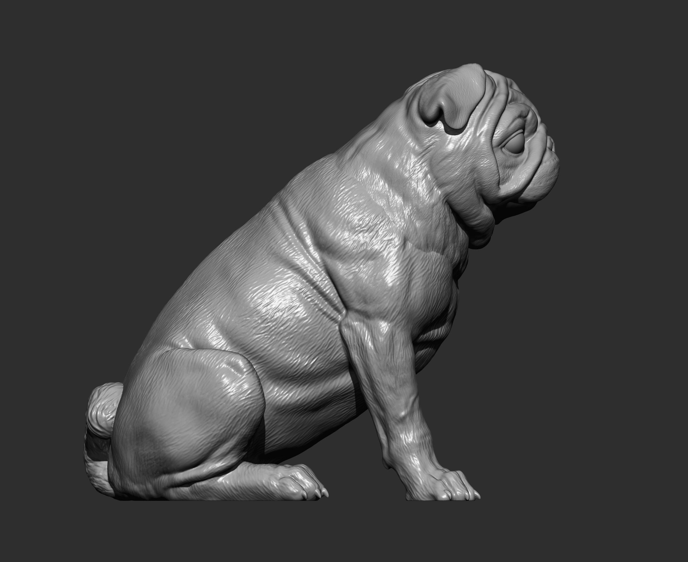 Pug for 3D printing 3D print model_3