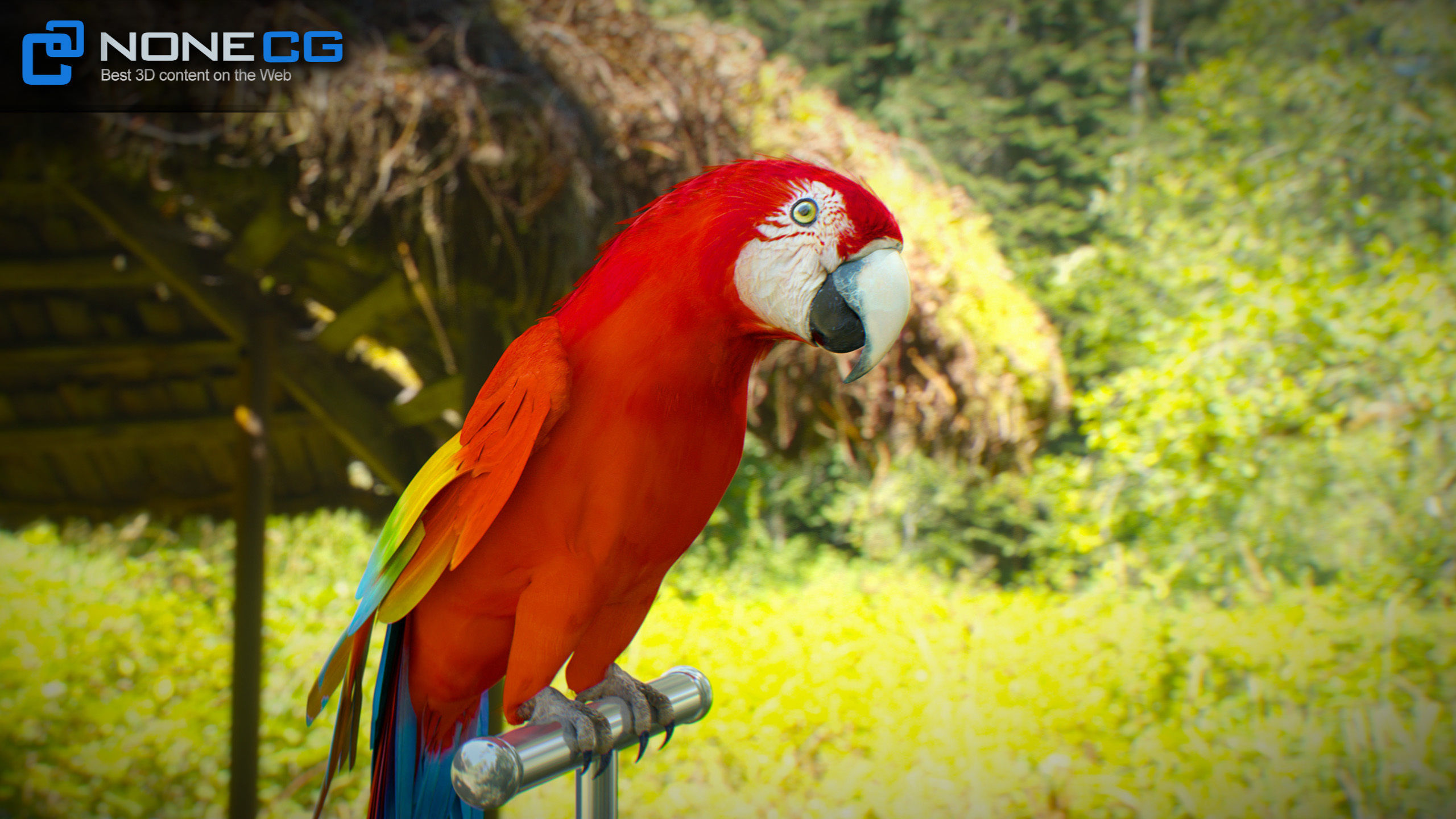 Animated Parrots Pack 3D model_49