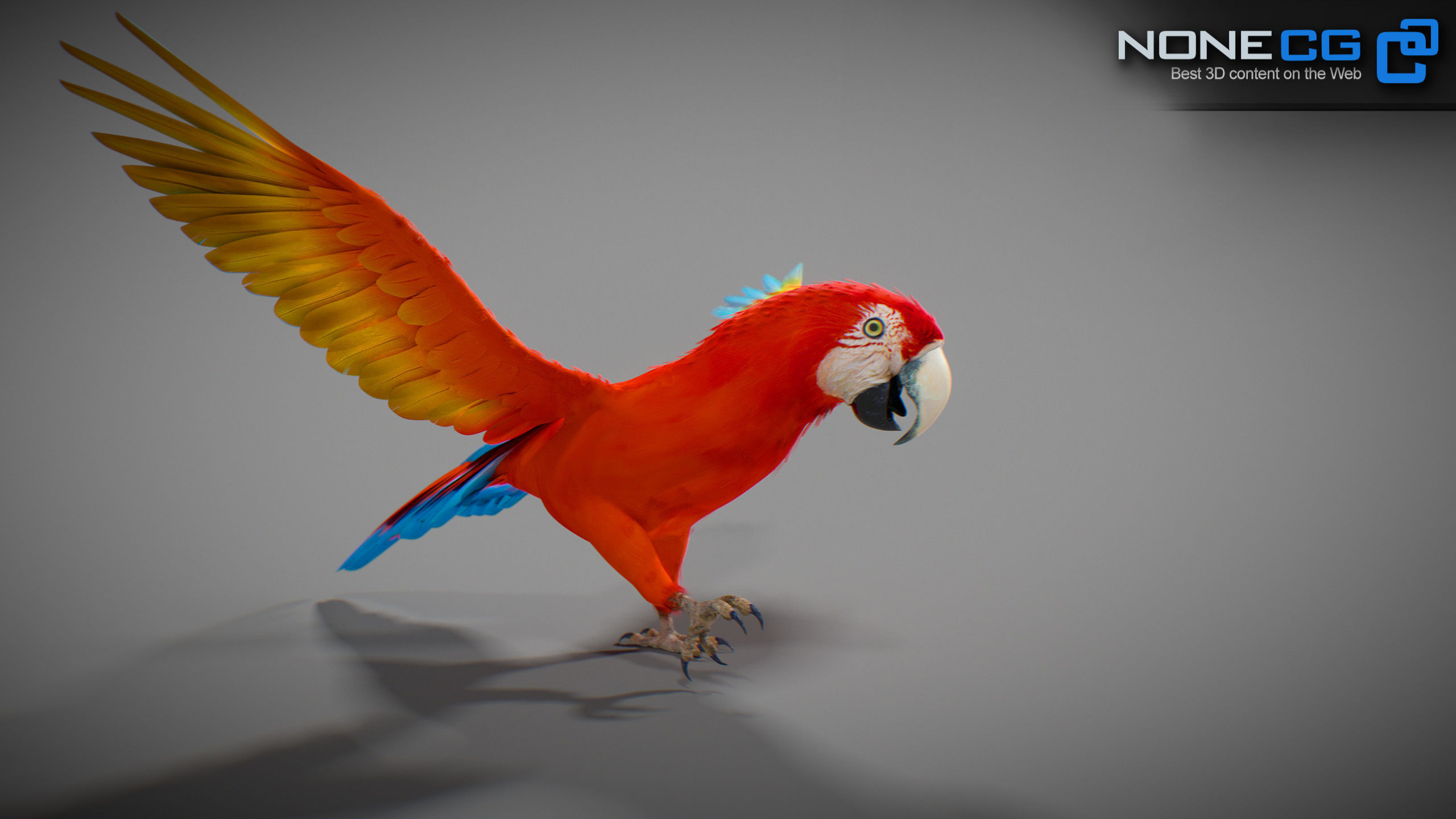 Animated Parrots Pack 3D model_65