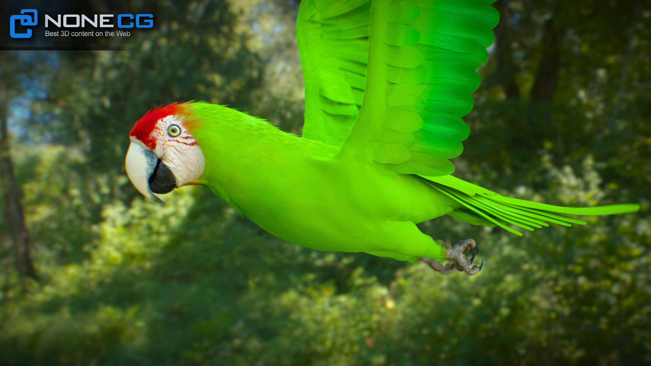 Animated Parrots Pack 3D model_43