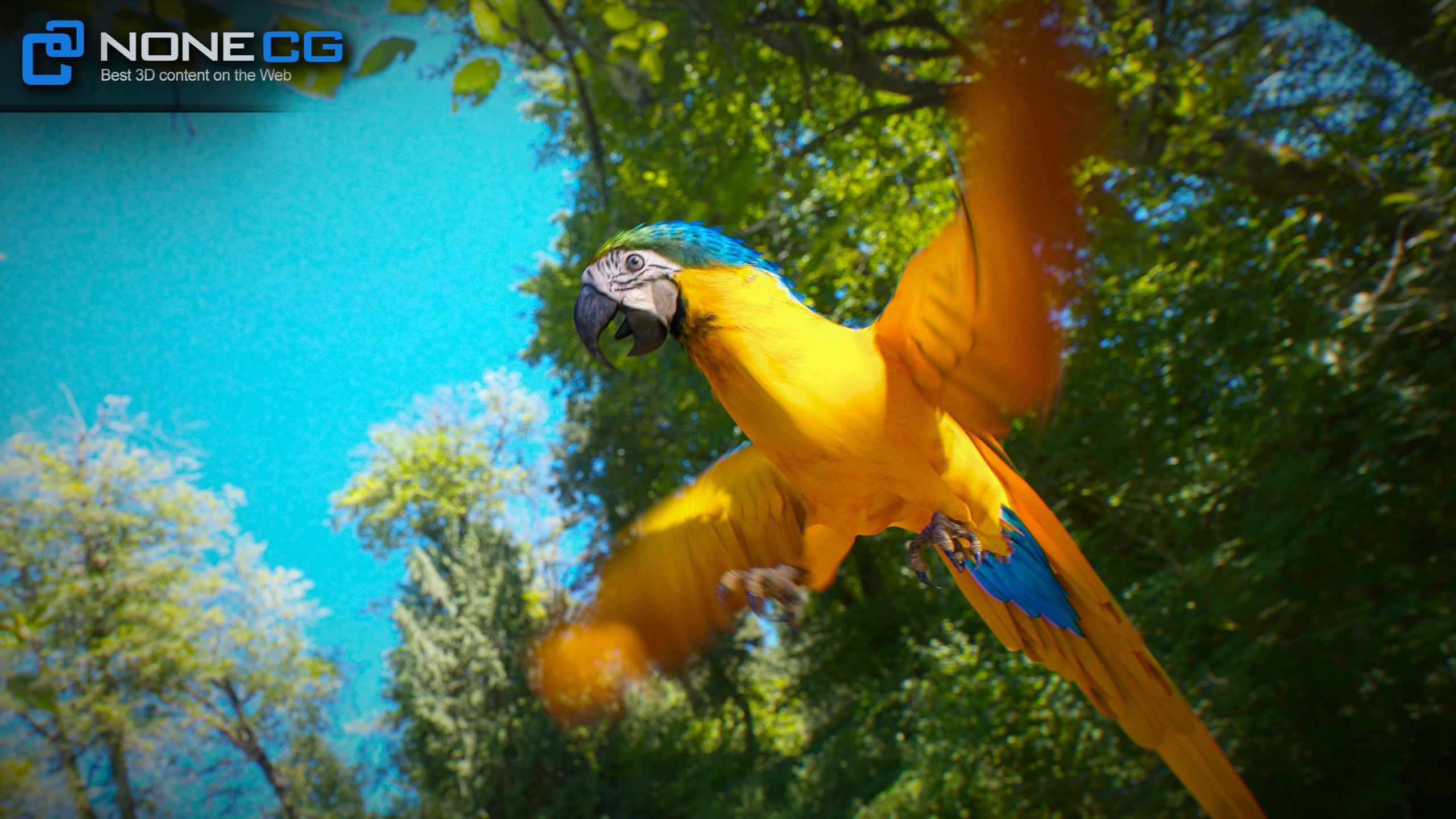 Animated Parrots Pack 3D model_56