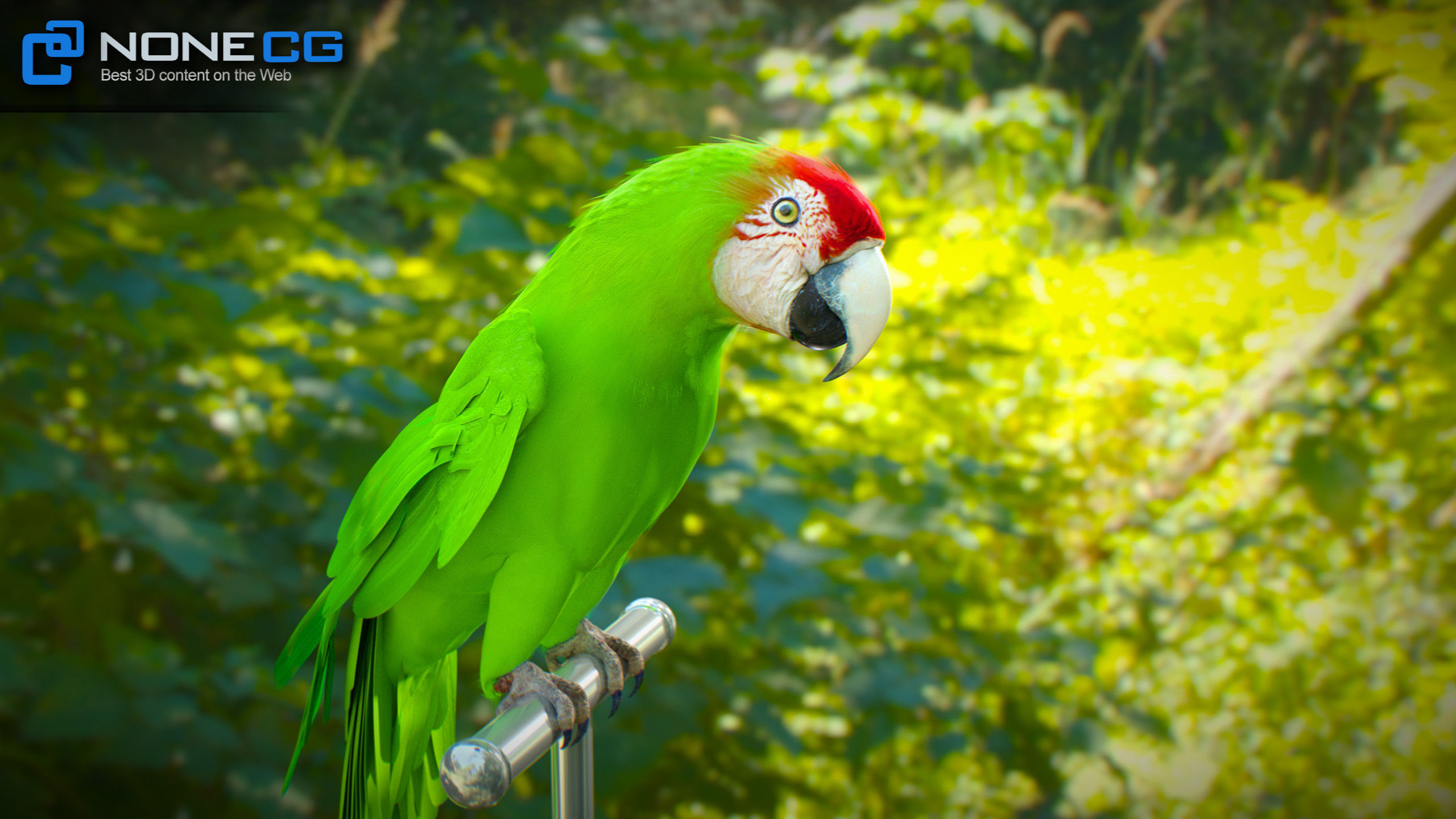 Animated Parrots Pack 3D model_26