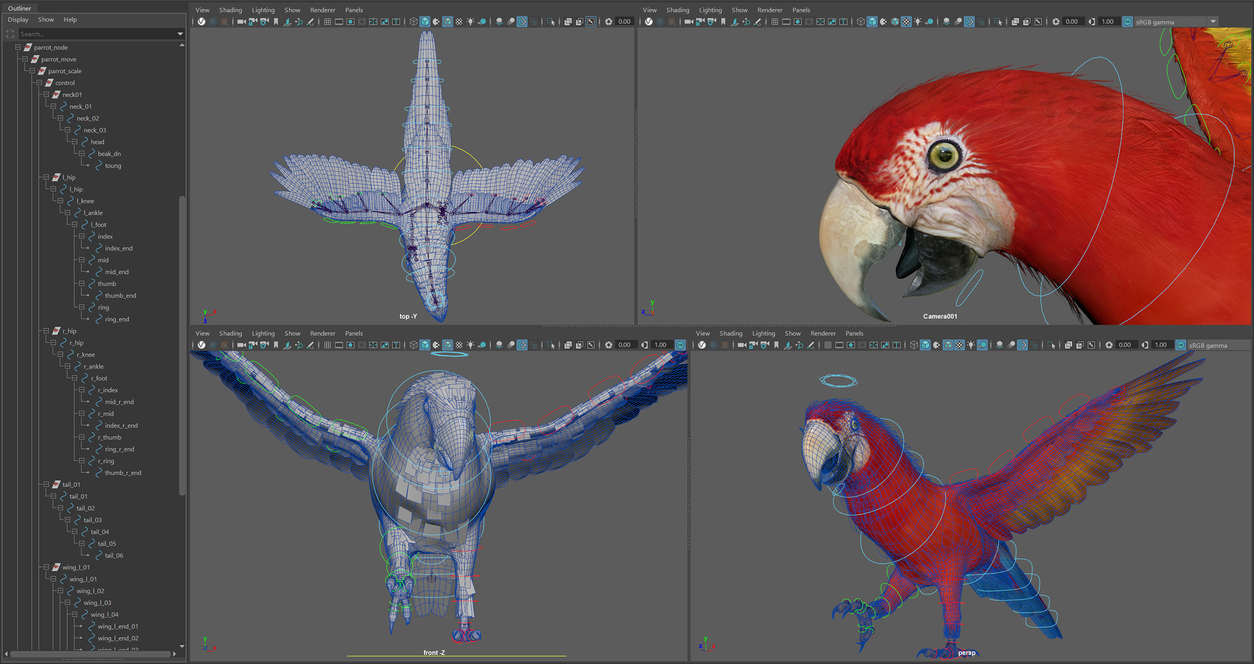 Animated Parrots Pack 3D model_28