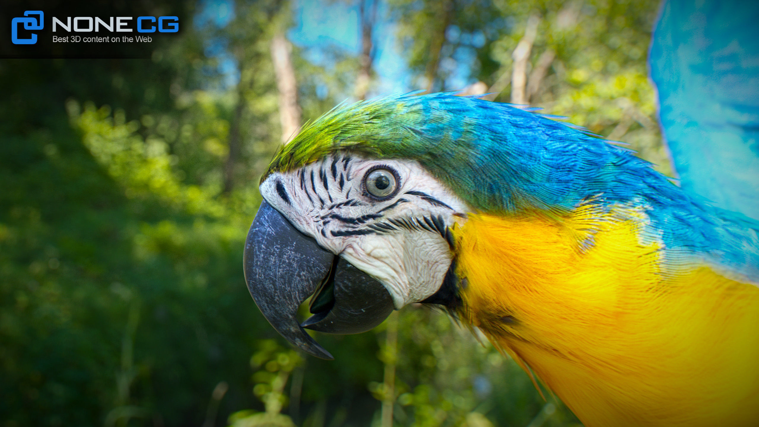 Animated Parrots Pack 3D model_7