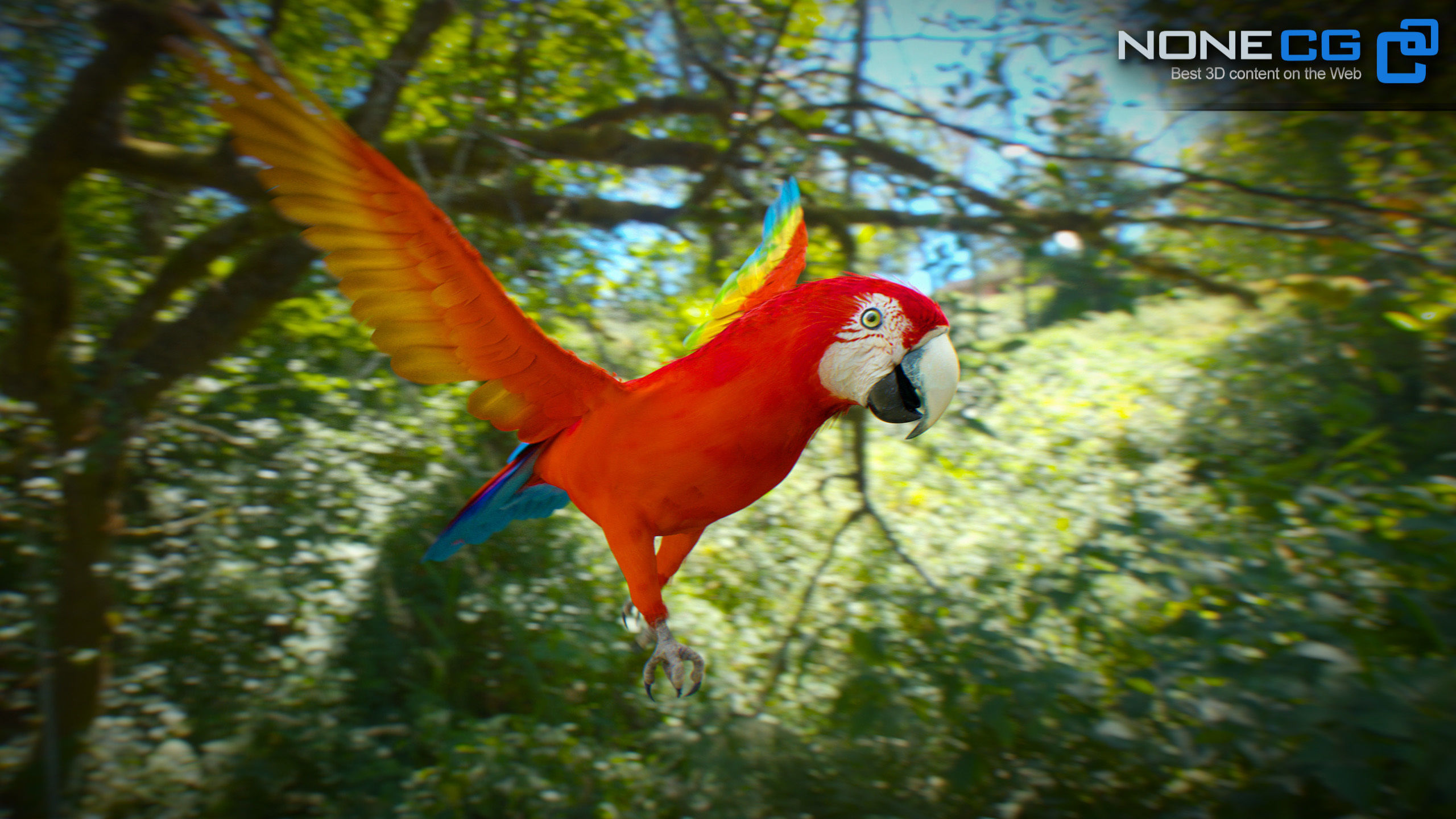 Animated Parrots Pack 3D model_13