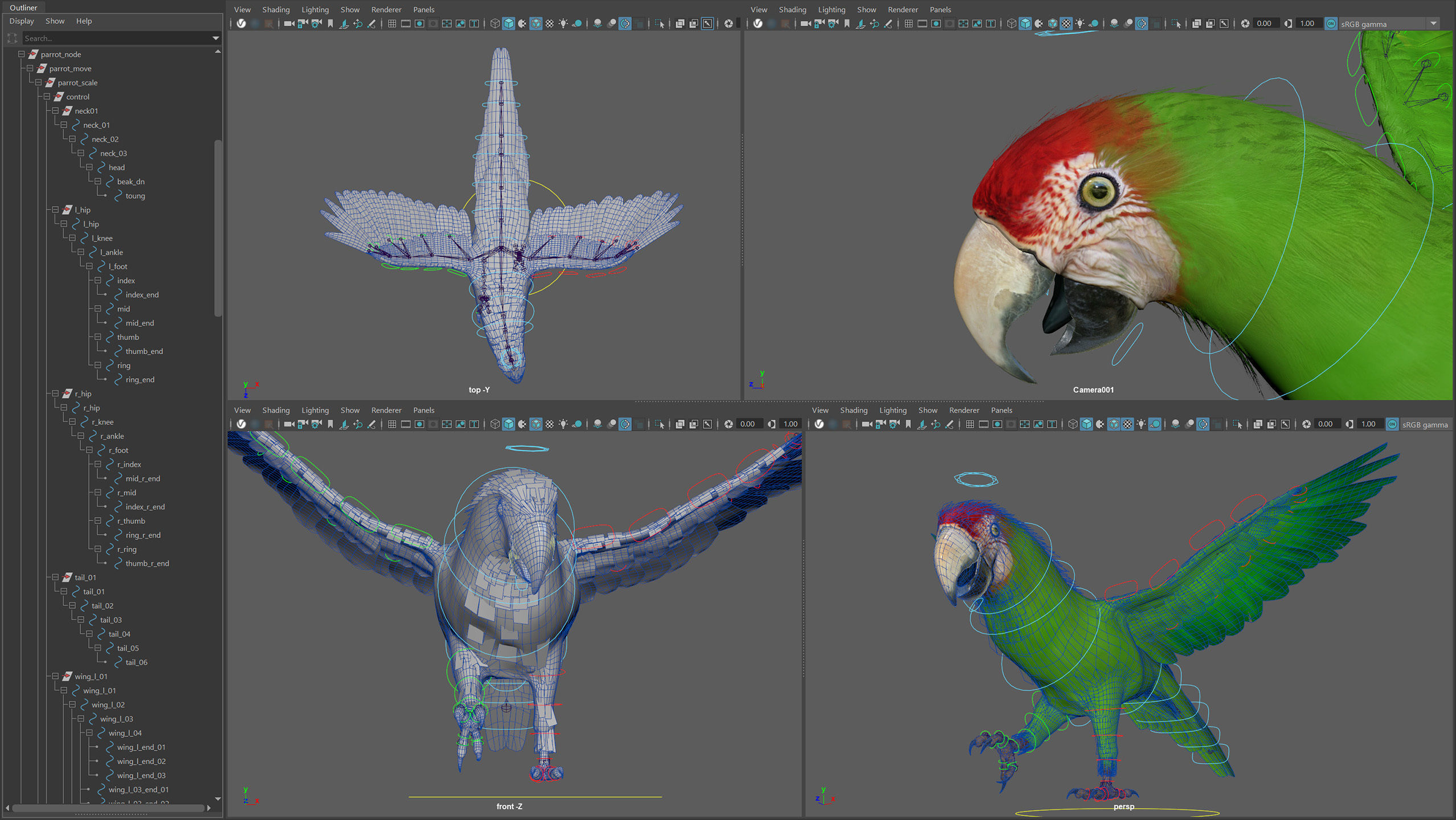 Animated Parrots Pack 3D model_18
