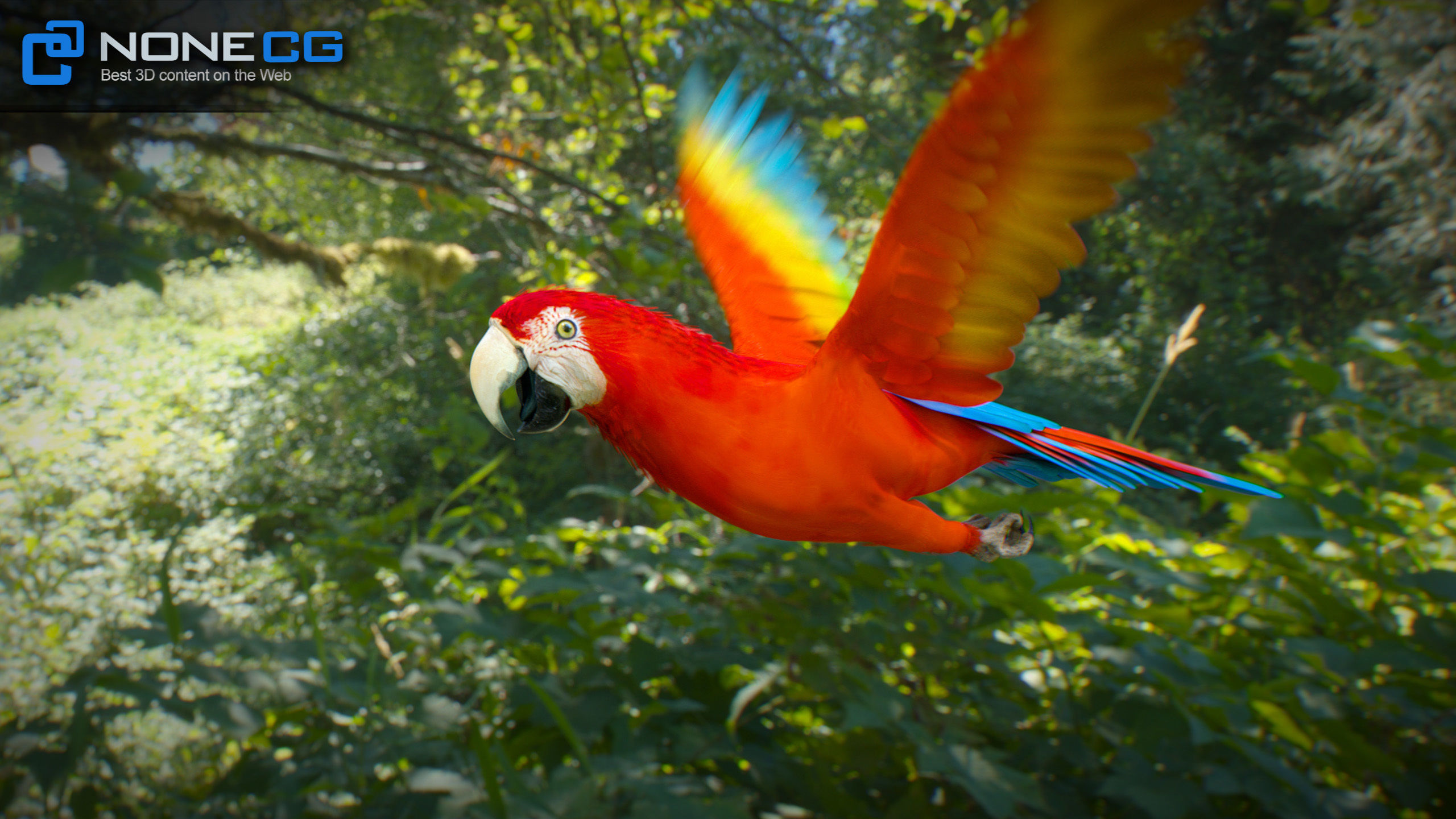 Animated Parrots Pack 3D model_46
