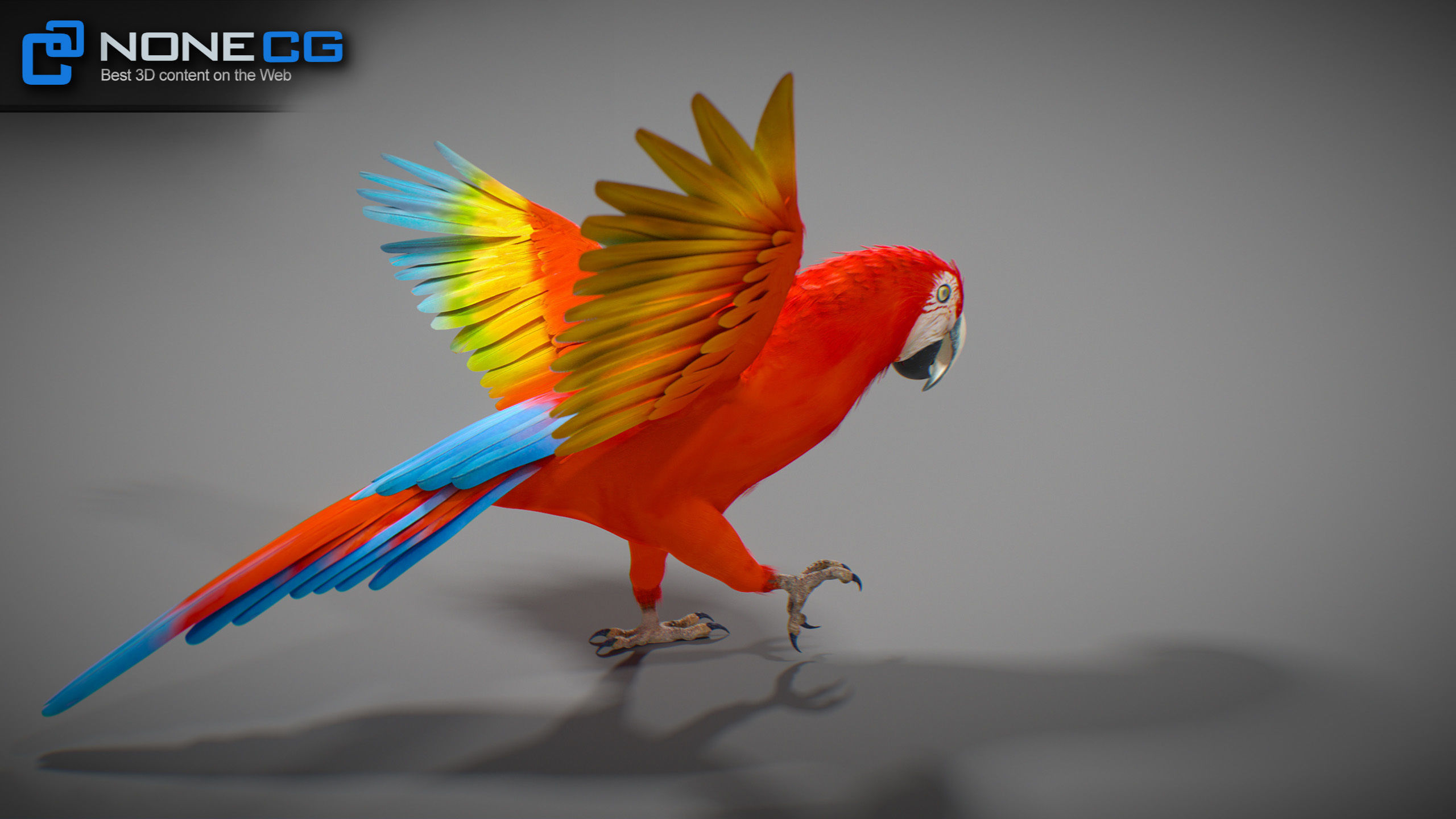 Animated Parrots Pack 3D model_42