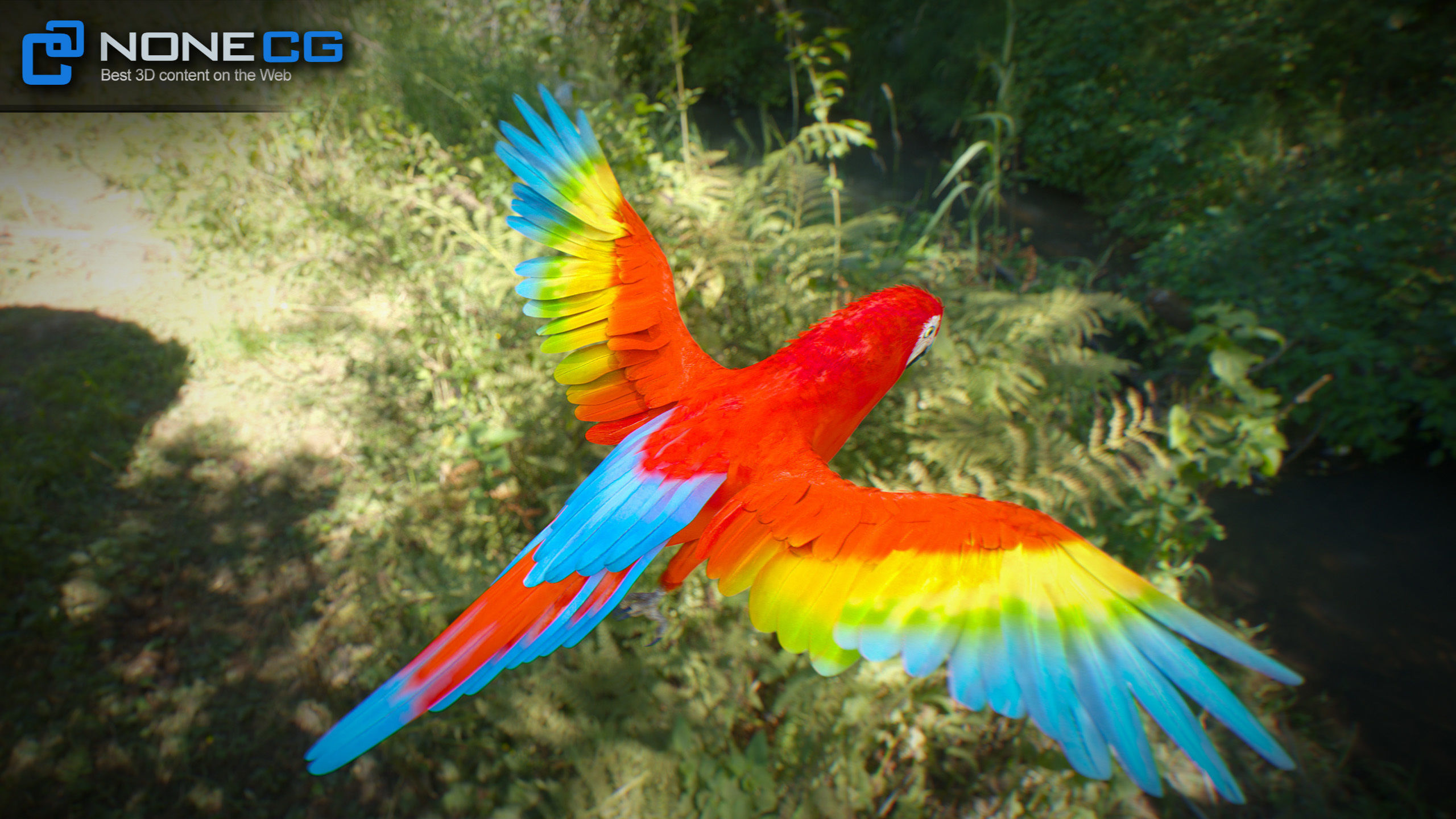 Animated Parrots Pack 3D model_53