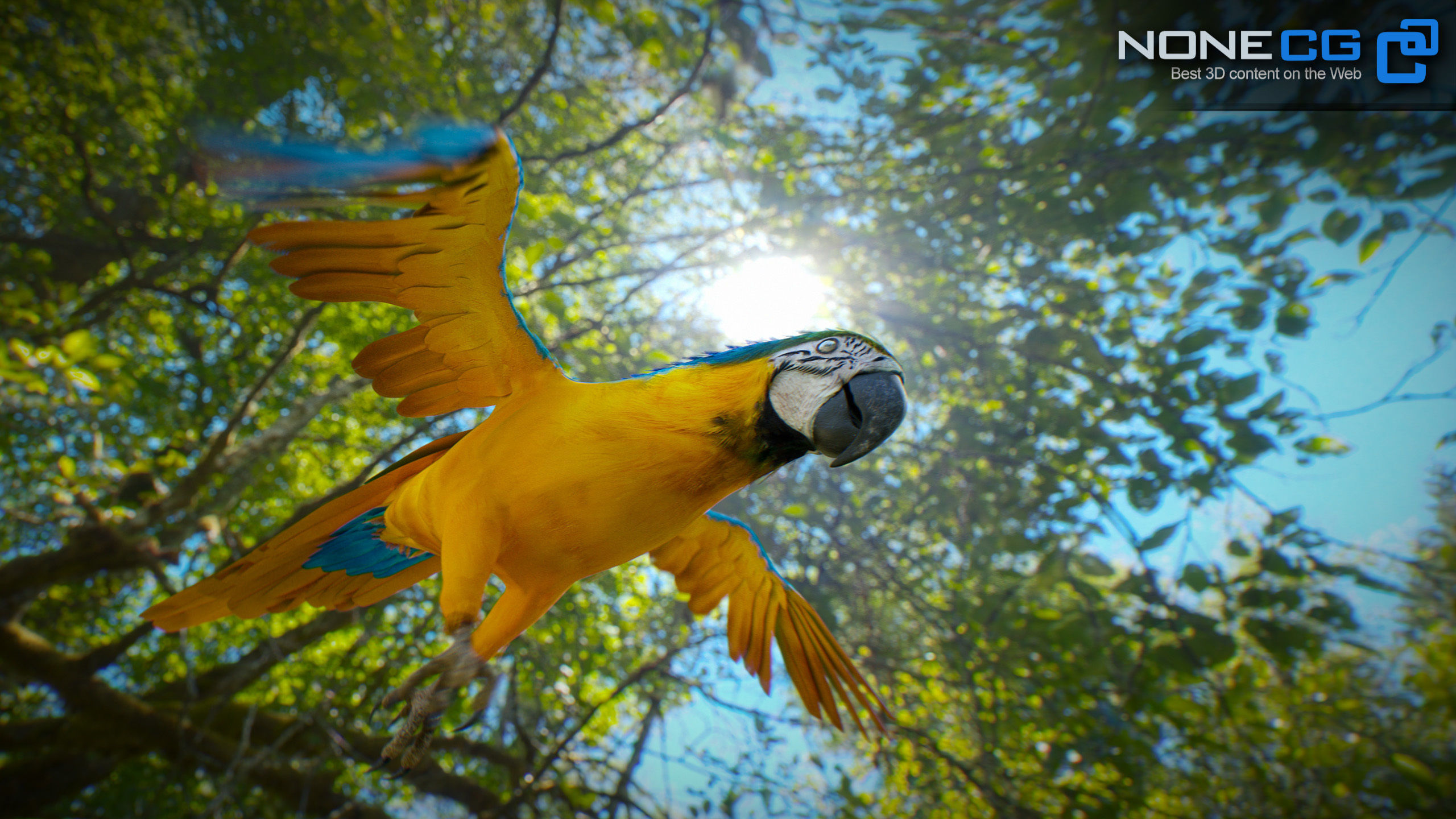 Animated Parrots Pack 3D model_70