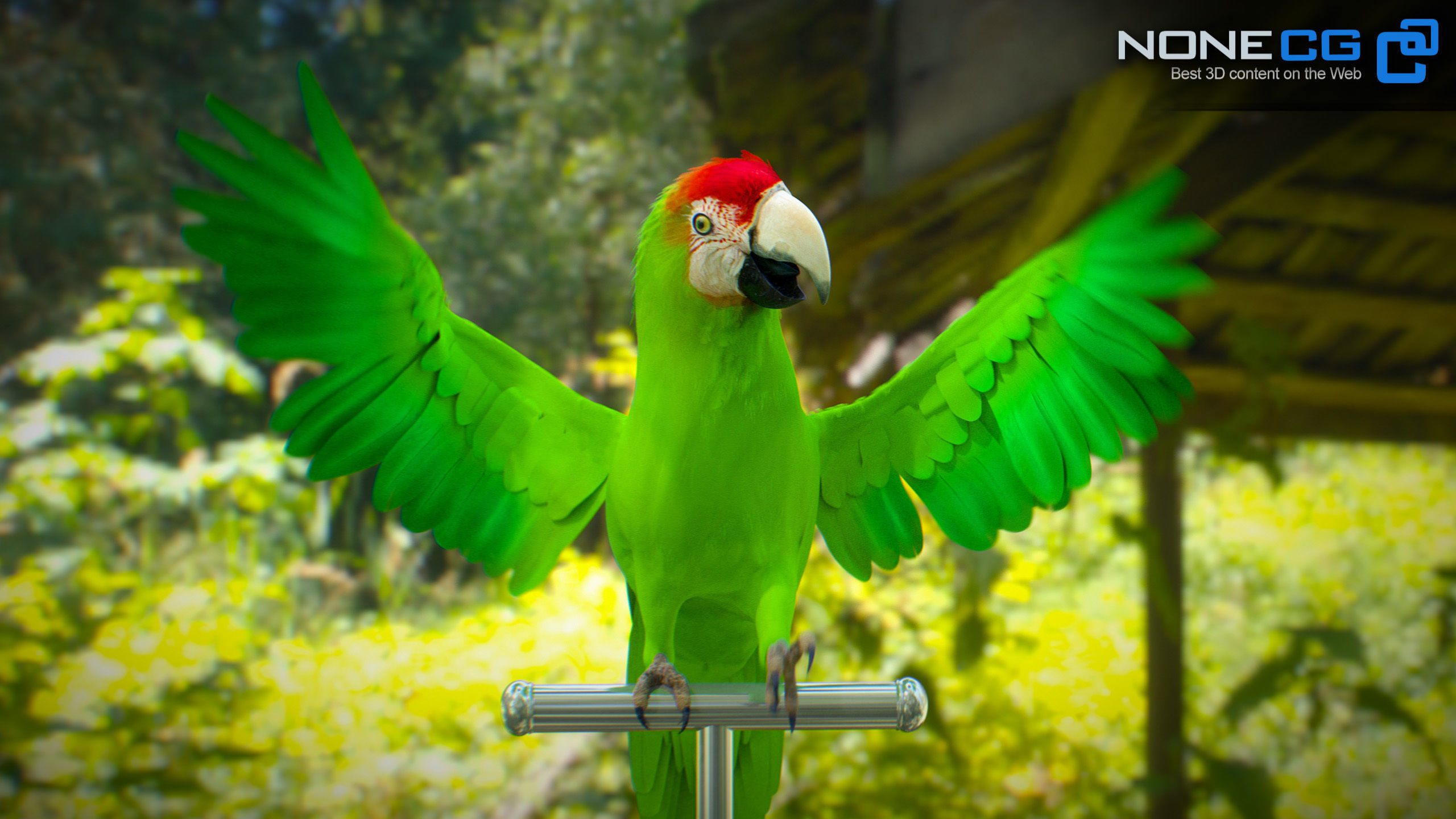Animated Parrots Pack 3D model_39